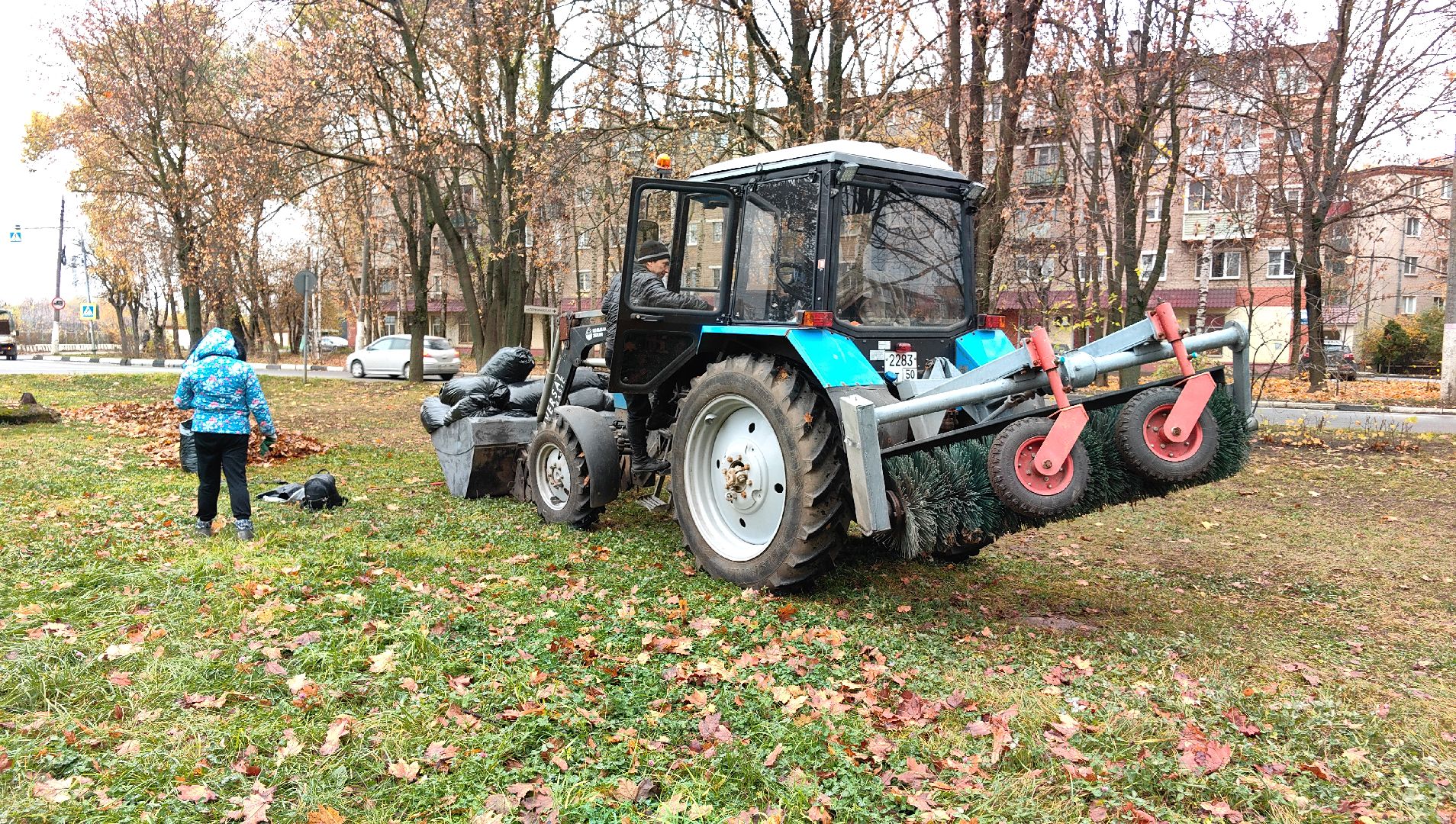 листва, ветки, улицы, мешки ,