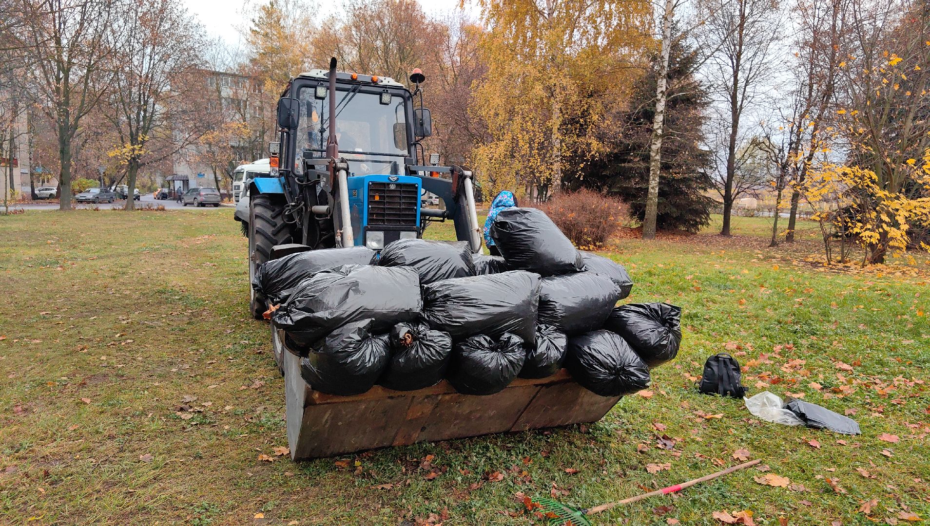 листва, ветки, улицы, мешки ,