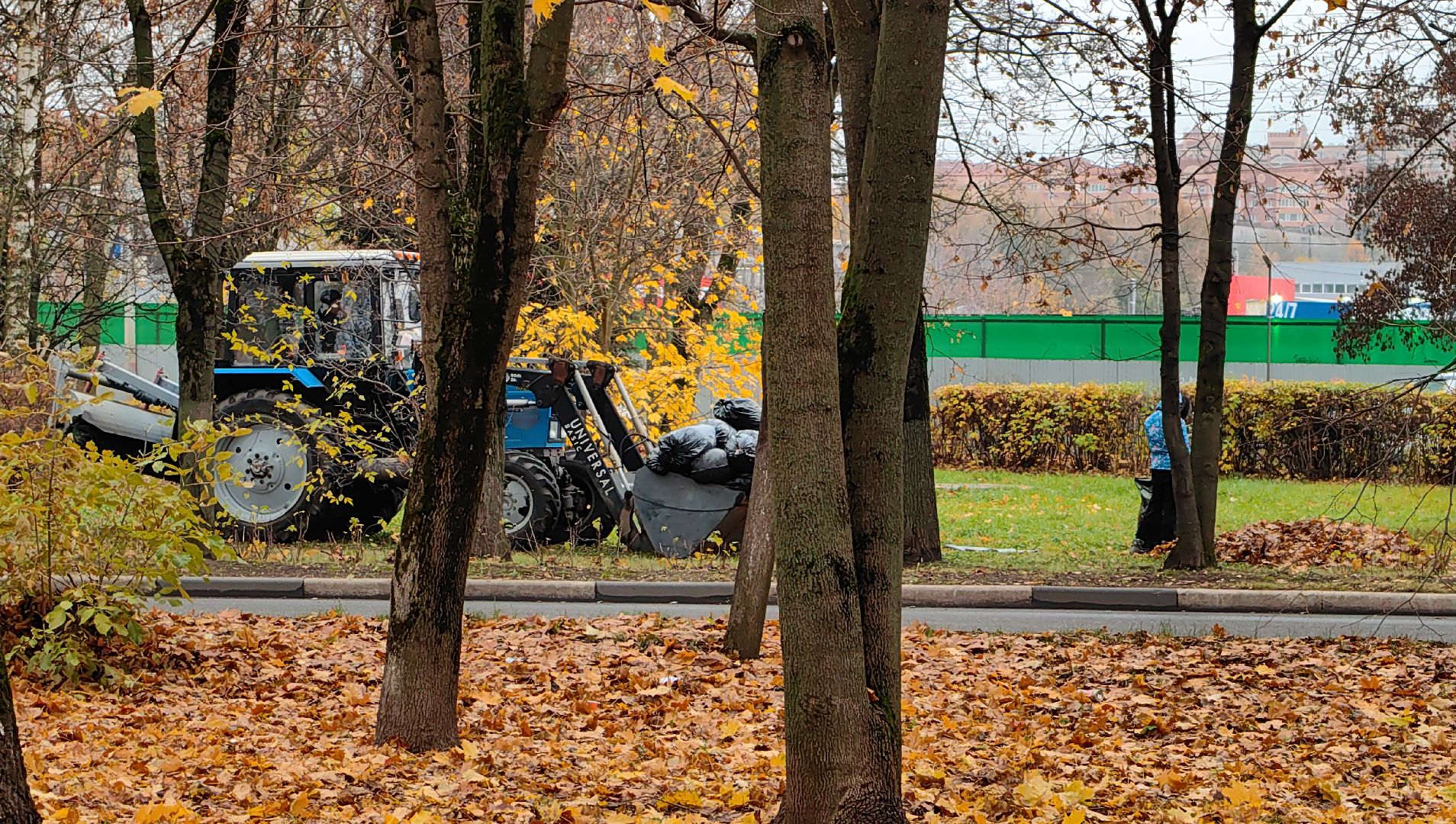 листва, ветки, улицы, мешки ,