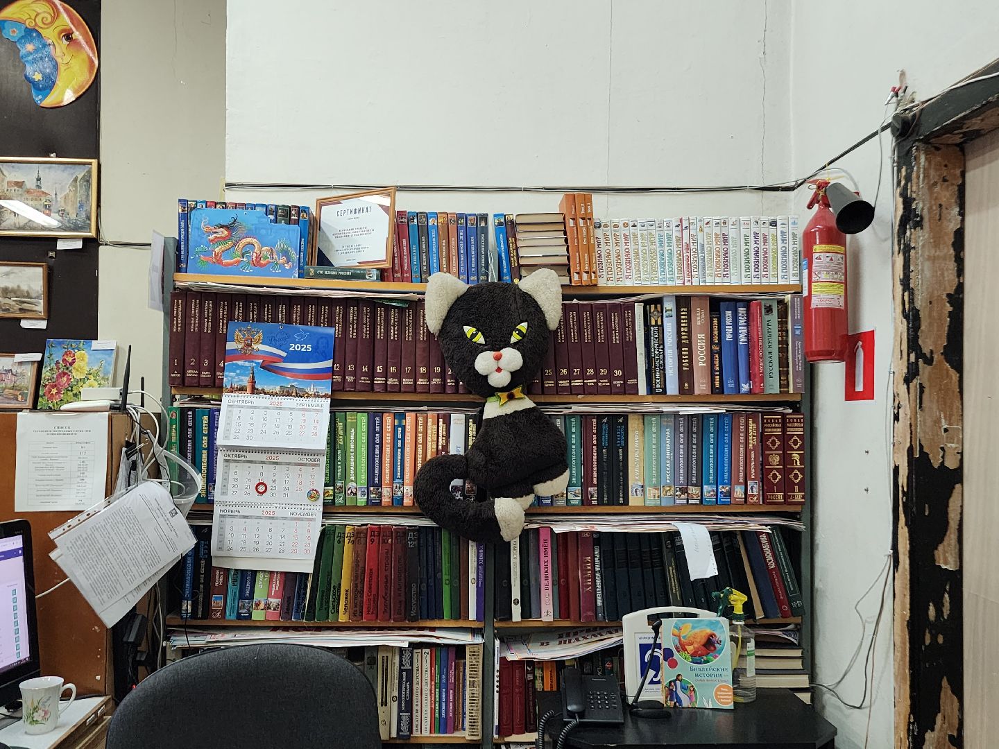 фрязино, детская библиотека, победа в конкурсе, модельная библиотека, модернизация библиотек,