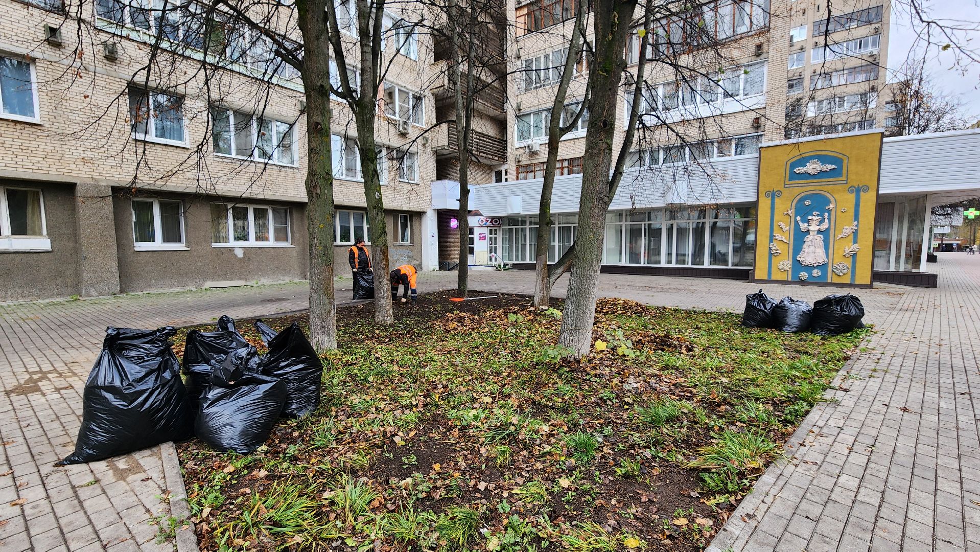 протвино ,  благоустройство, палая листва,