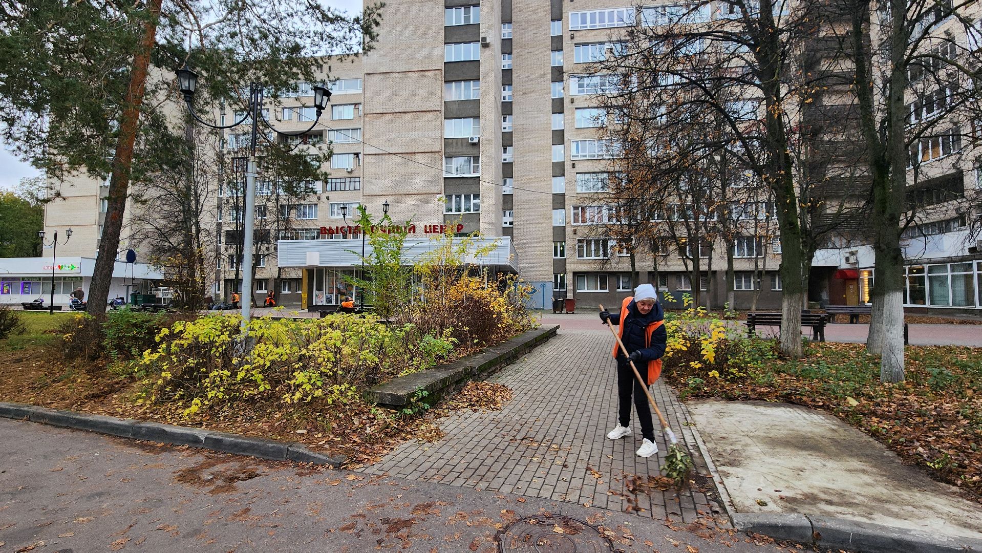 протвино ,  благоустройство, палая листва,