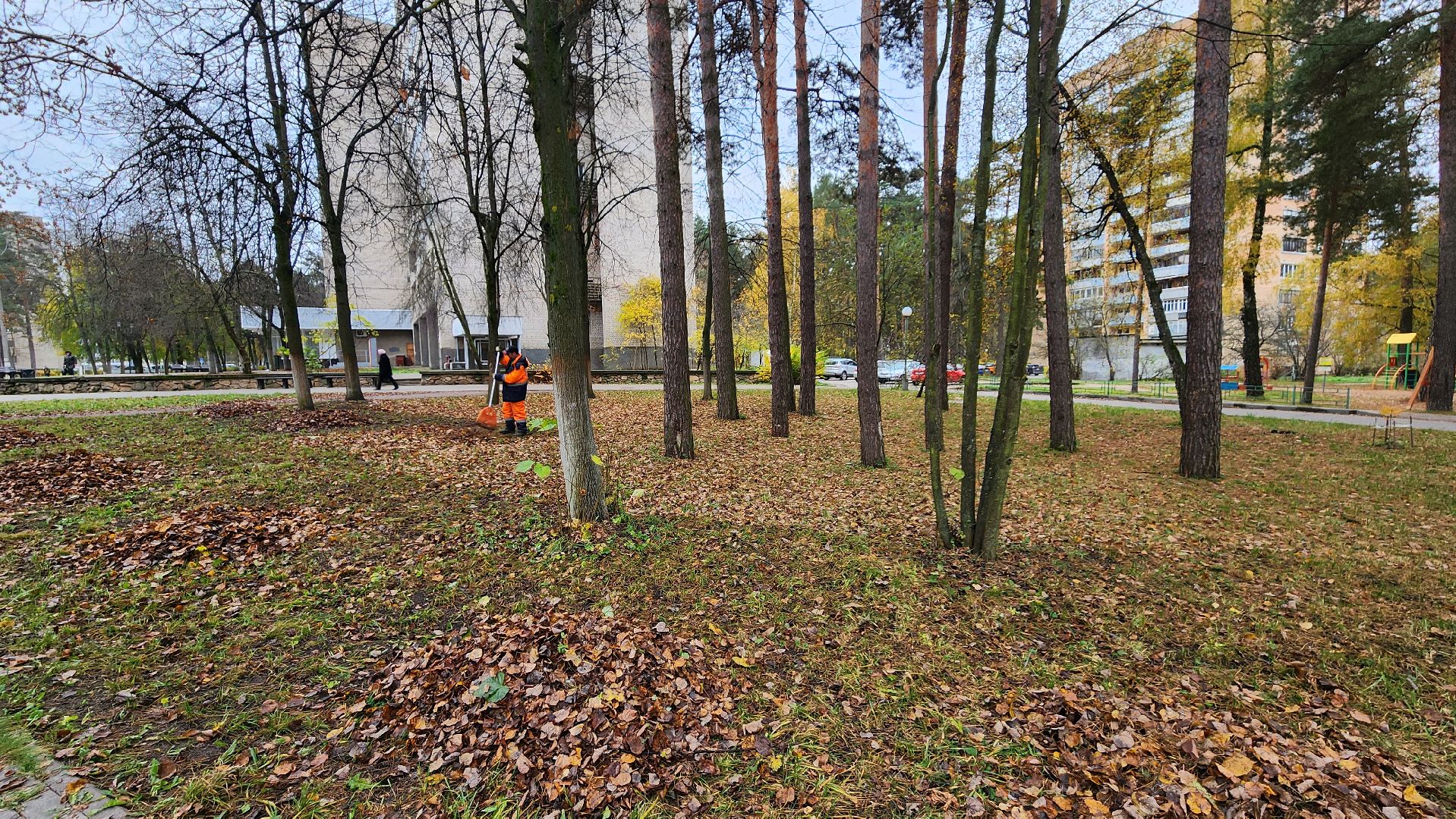 протвино ,  благоустройство, палая листва,