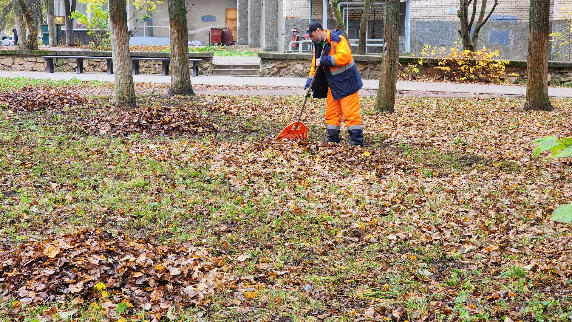 протвино ,  благоустройство, палая листва,