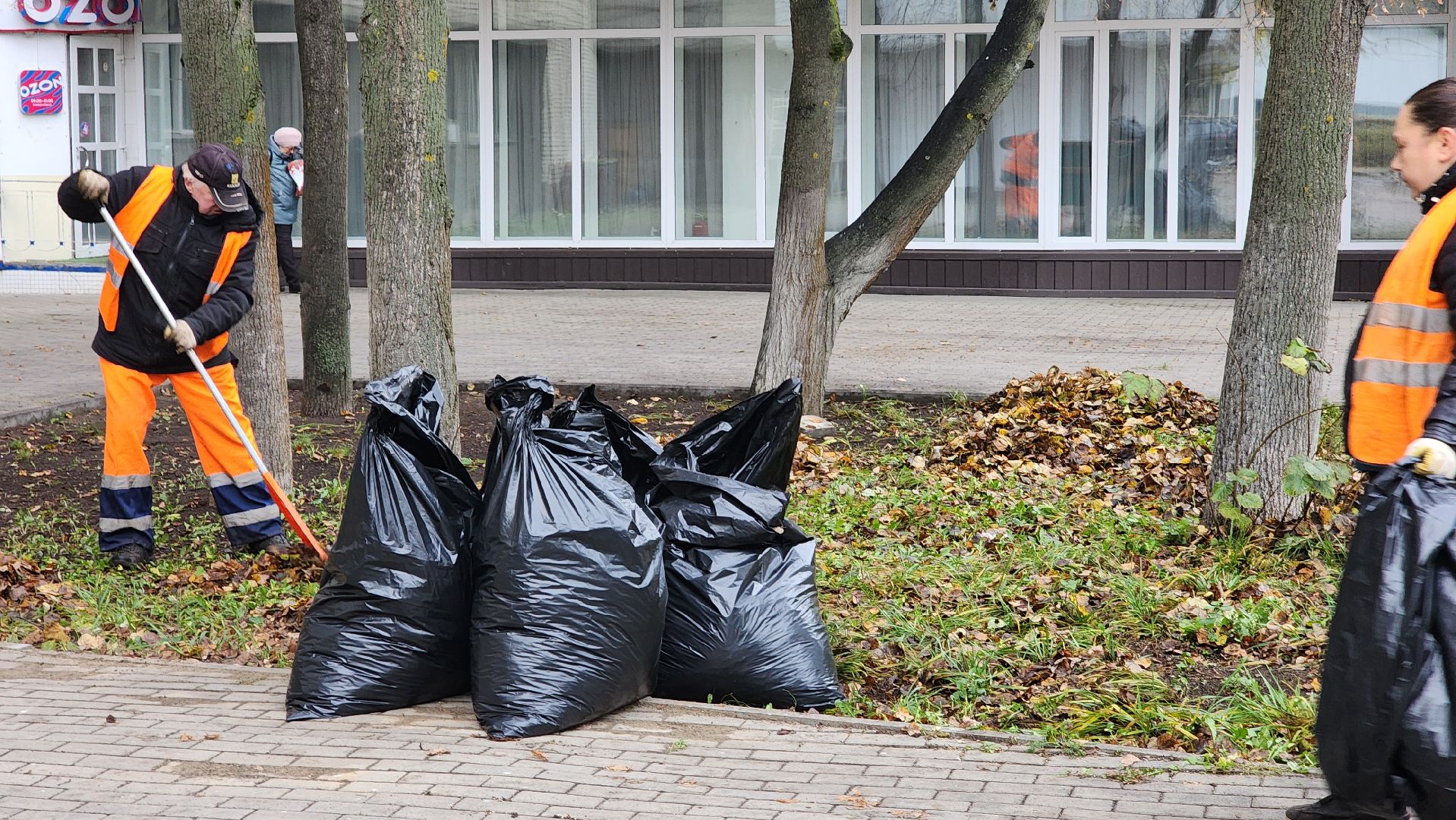 протвино ,  благоустройство, палая листва,