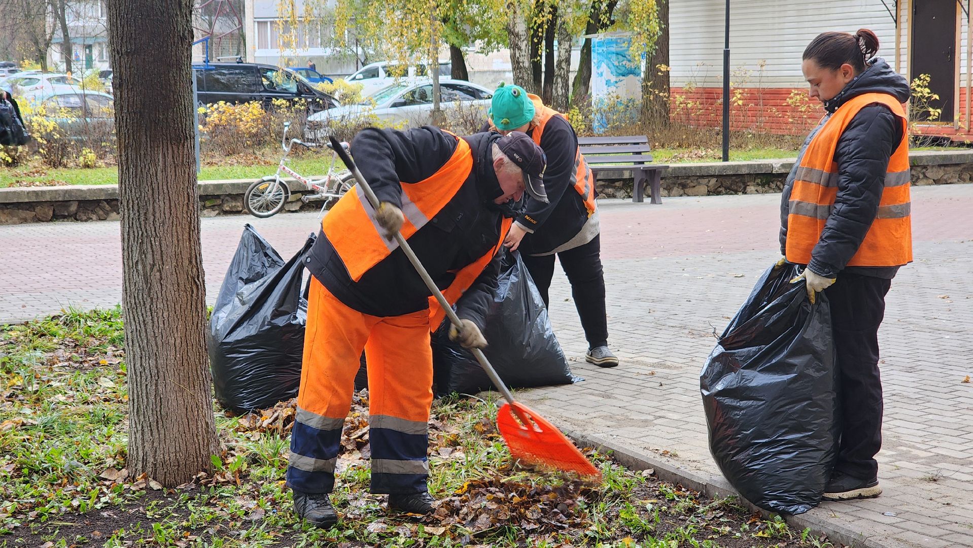 протвино ,  благоустройство, палая листва,