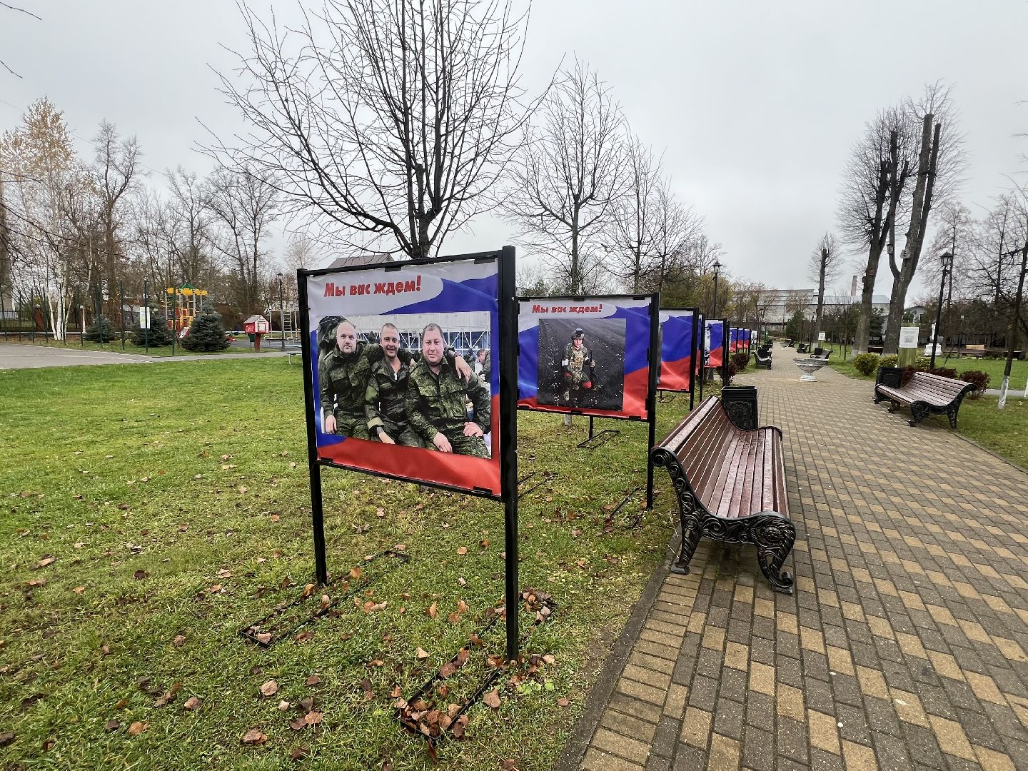 талдомский городской округ, вербилки парк,