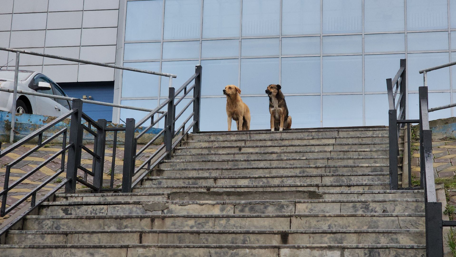 кашира, вокзал, благоустройство, подпорная стена, фасад, полимерные материалы, ремонт, вентилируемый фасад,