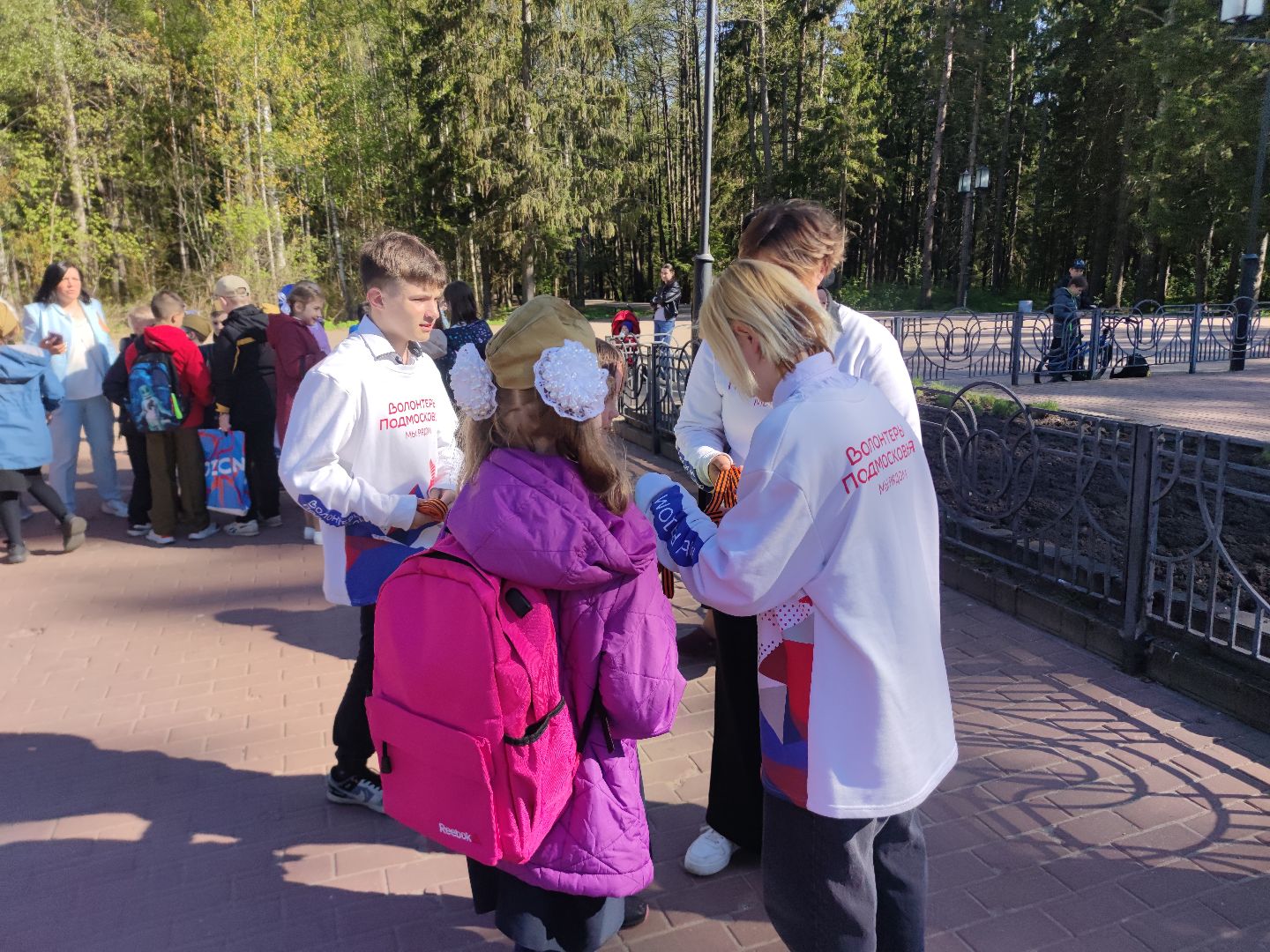 волонтеры, День победы, помощь, Дубна