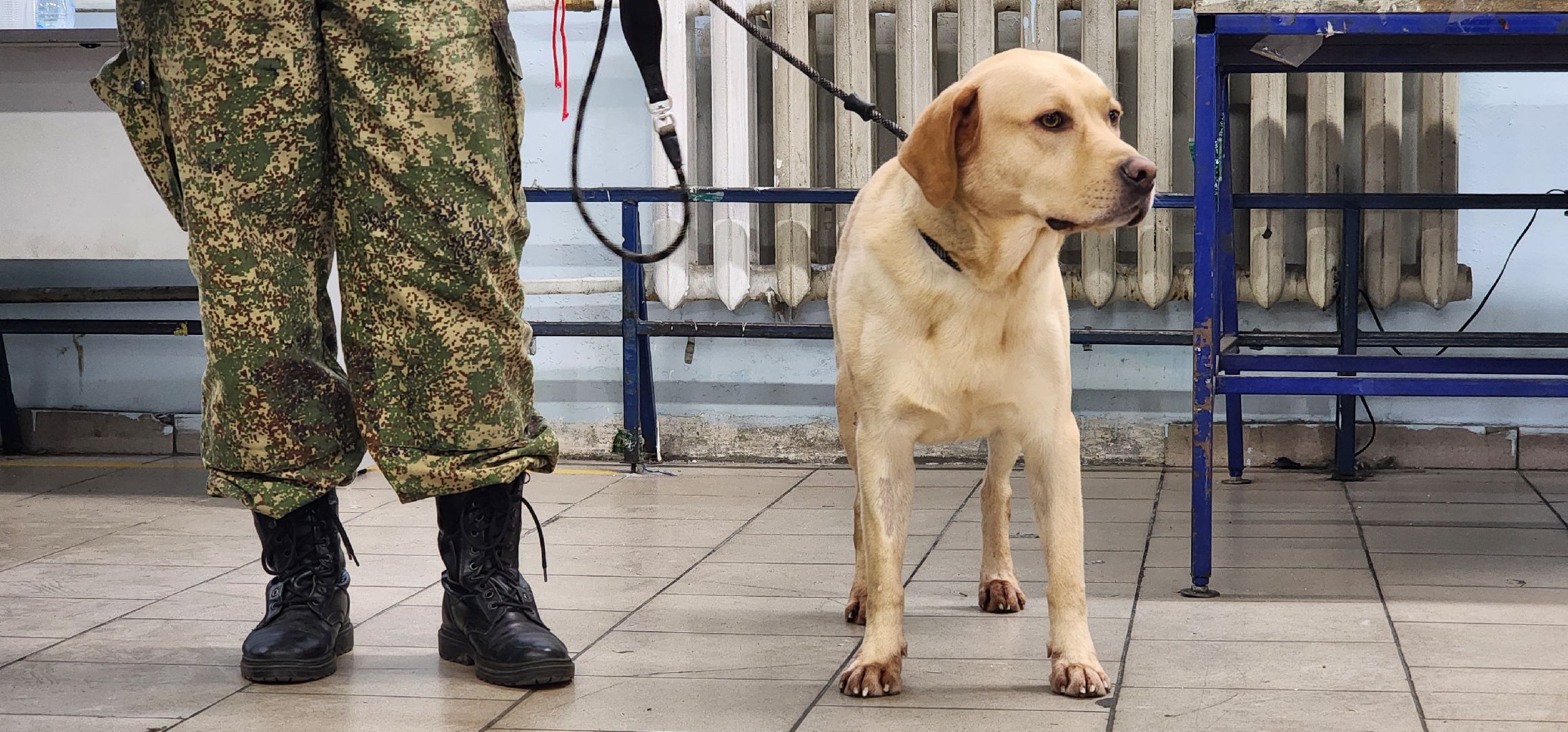Химки, Шереметьево ,Почта России, Безопасность ,