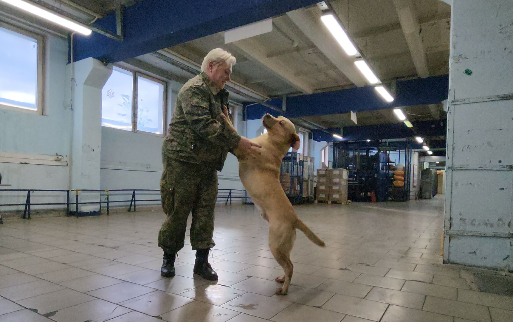 Химки, Шереметьево ,Почта России, Безопасность ,