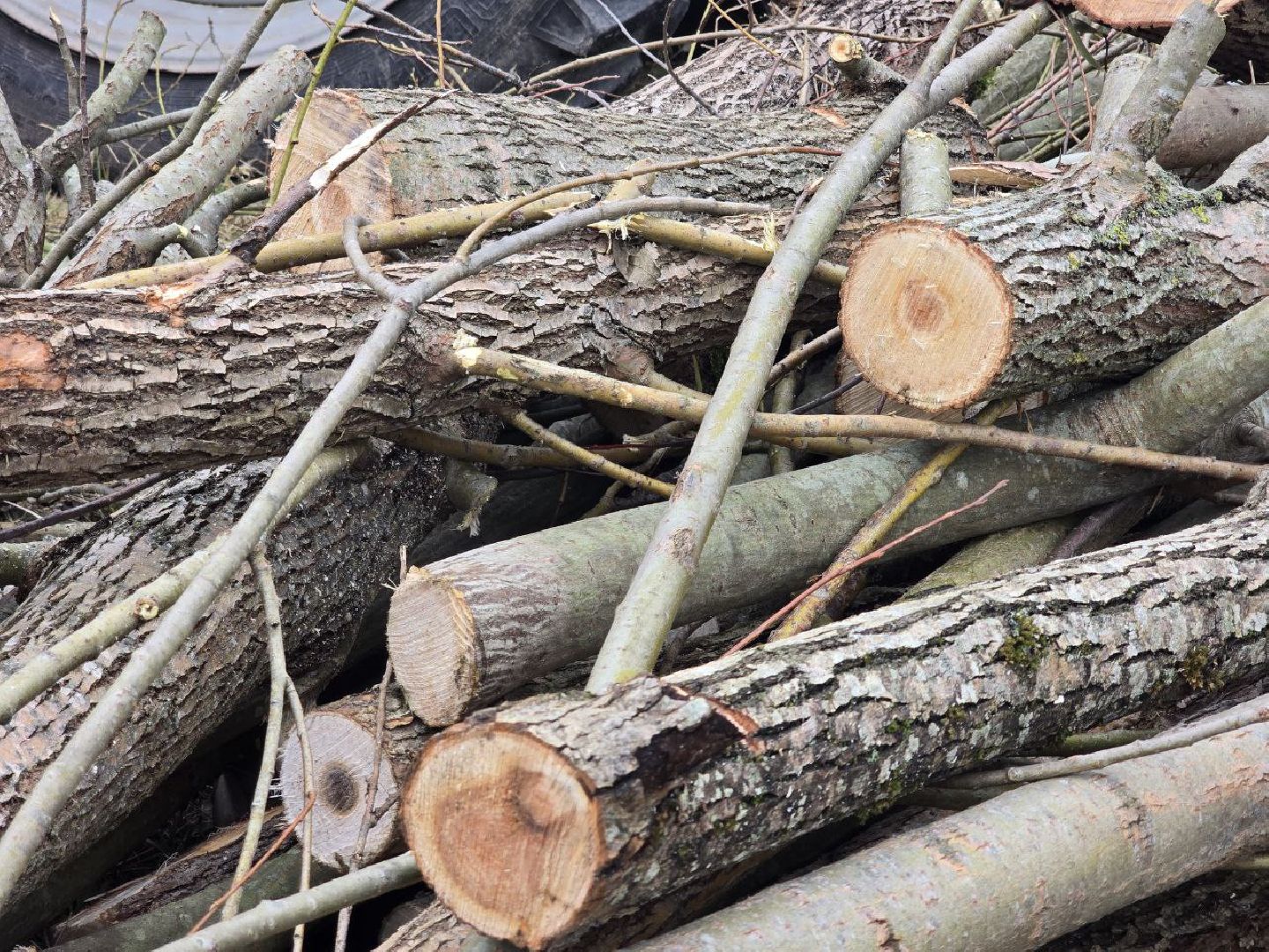можайск, можайский муниципальный округ, подмосковье, благоустройство, противопожарный пруд, пожарный водоем, ремонт пруда,
