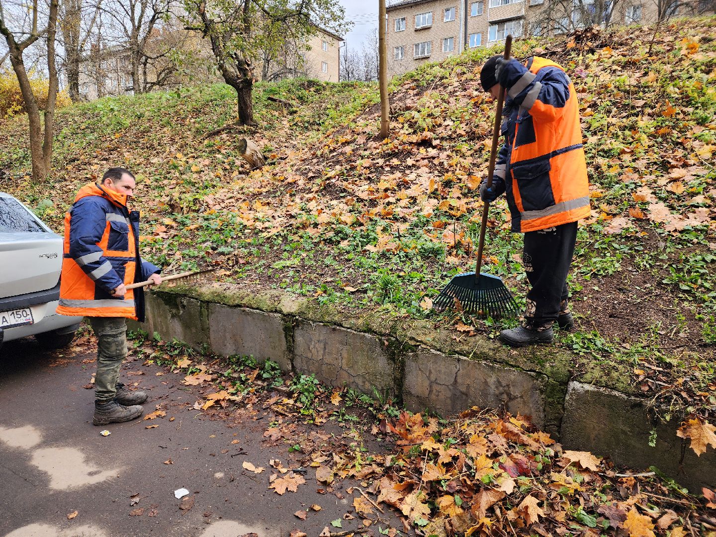 красноармейск, городской округ пушкинский, уборка во дворах, коммунальная служба,