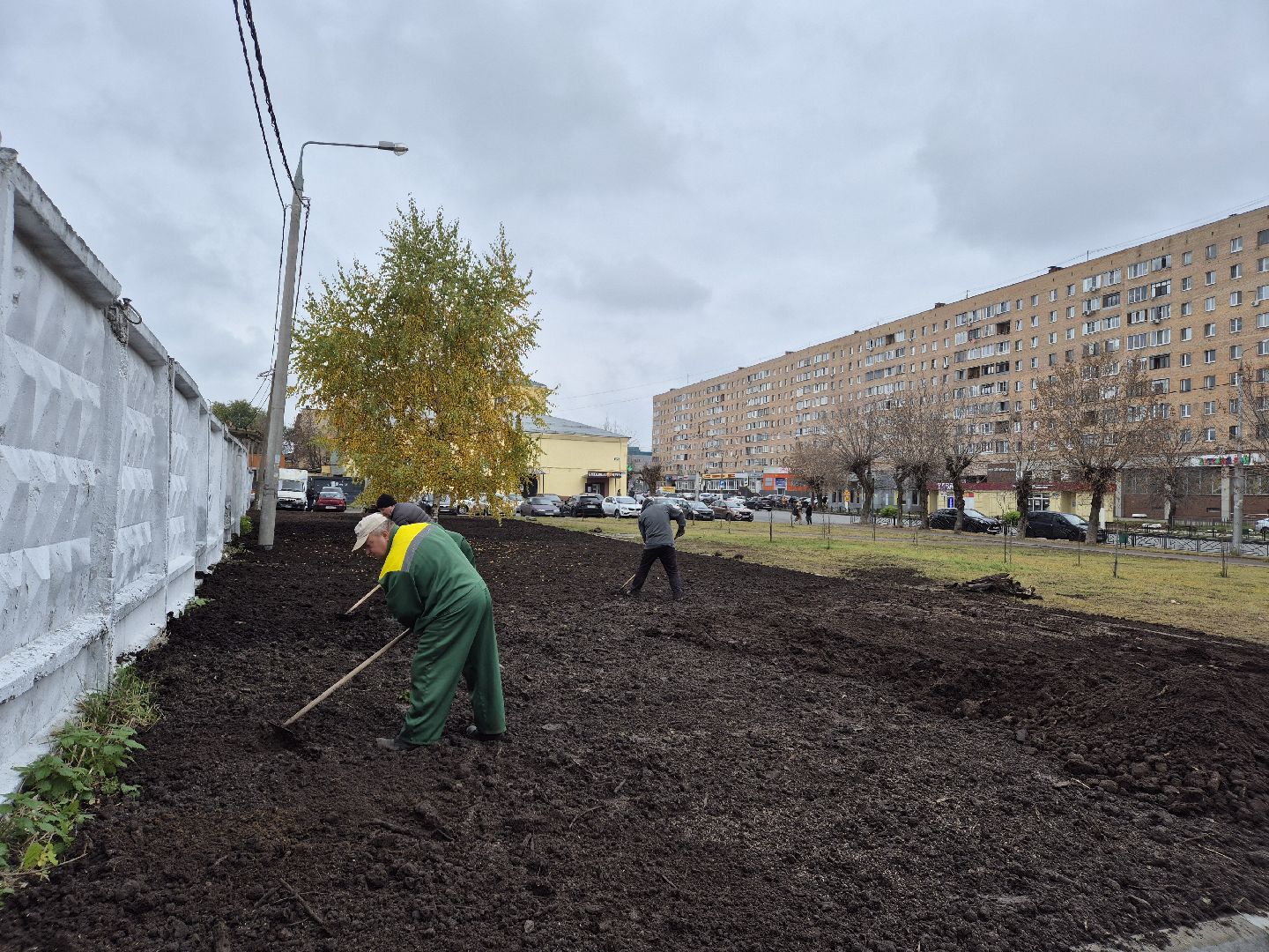 благоустройство территории, орехово-зуево, посев газона,