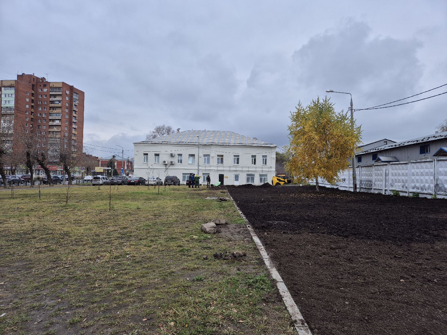 благоустройство территории, орехово-зуево, посев газона,