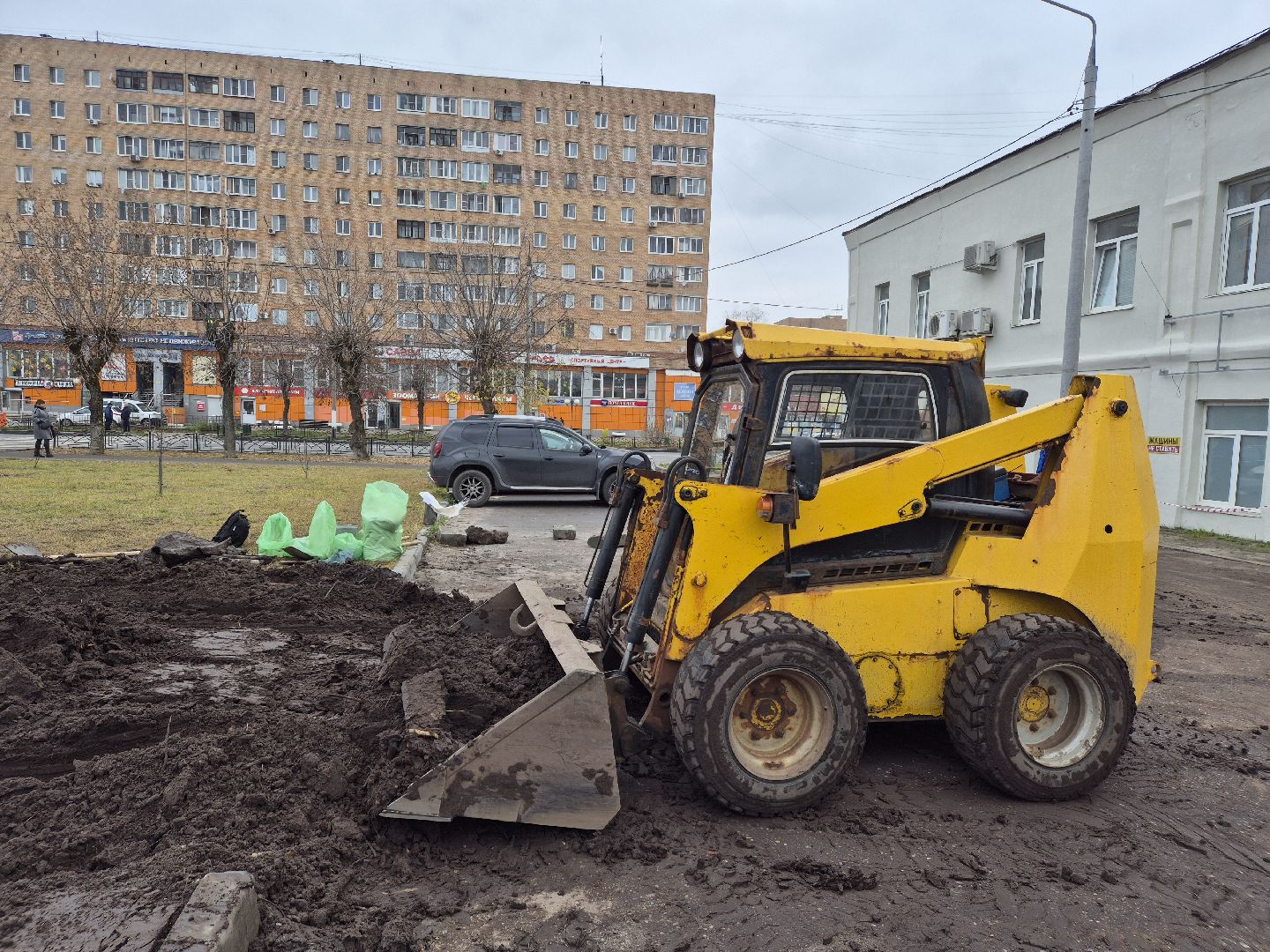 благоустройство территории, орехово-зуево, посев газона,