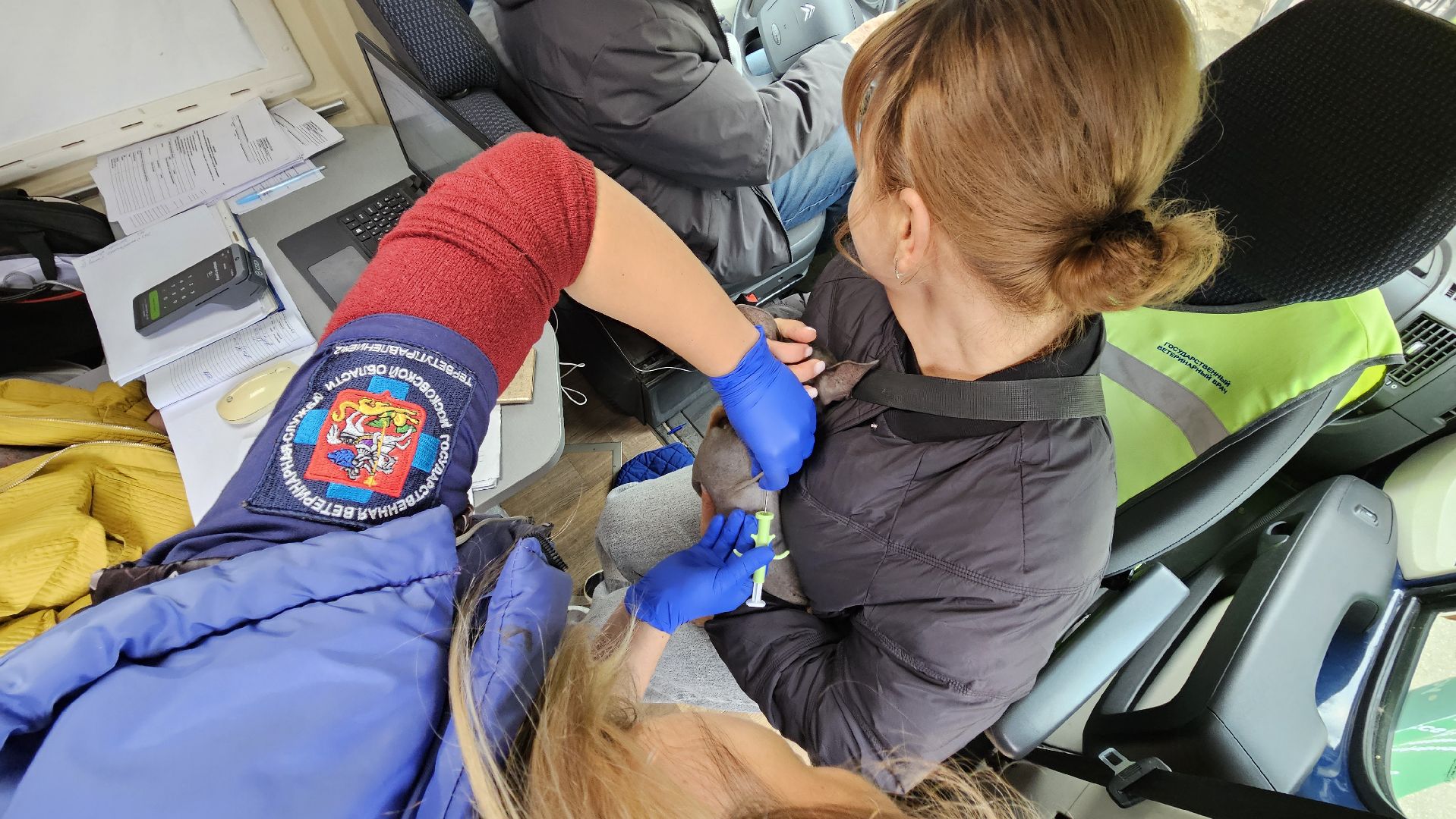 долгопрудный, собаки, чипирование, чипирование домашних животных, чипирование животных, чипирование собак,вакцинация животных, вакцинация от бешенства, вакцинация животных от бешенства,