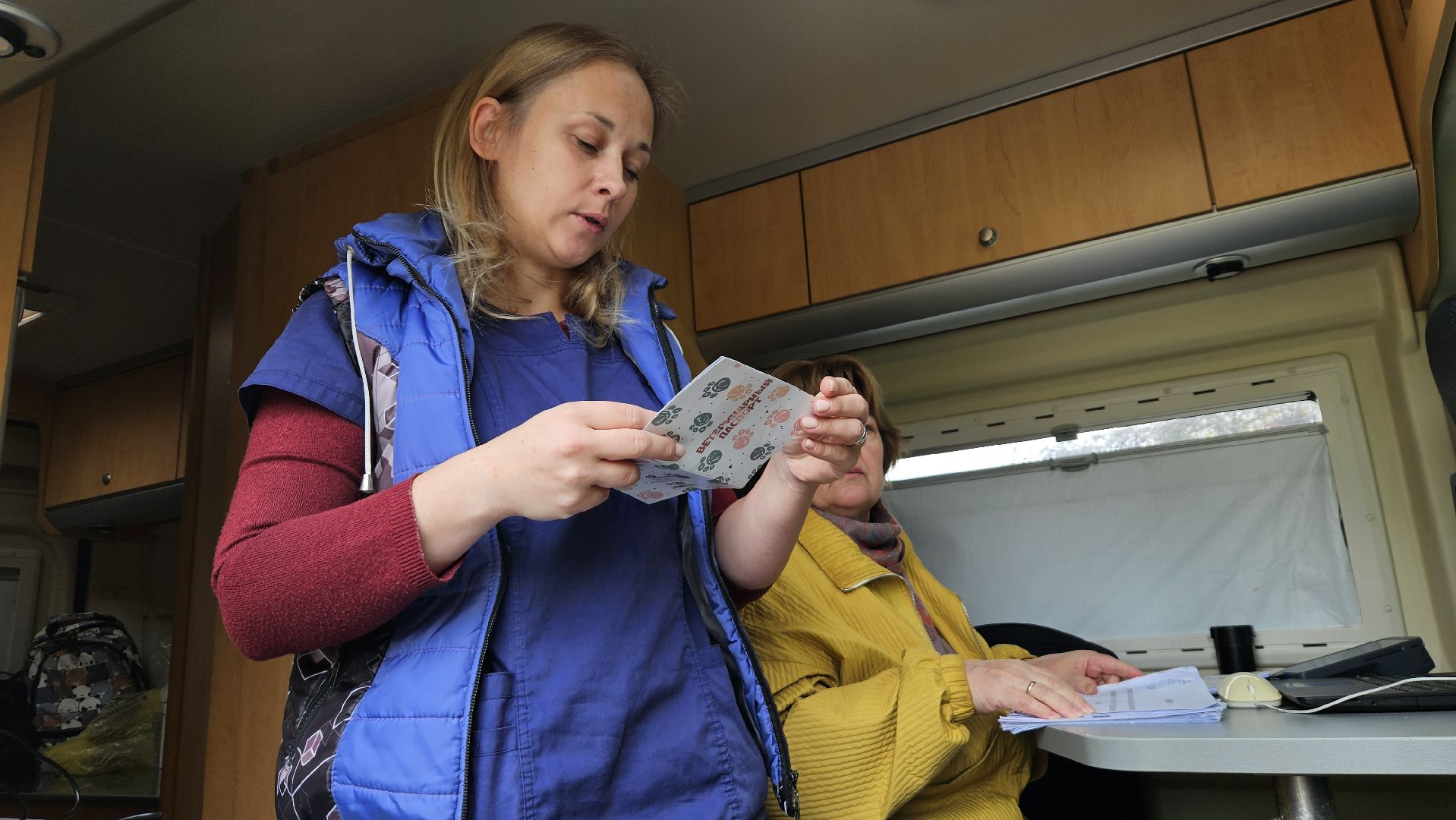 долгопрудный, собаки, чипирование, чипирование домашних животных, чипирование животных, чипирование собак,вакцинация животных, вакцинация от бешенства, вакцинация животных от бешенства,