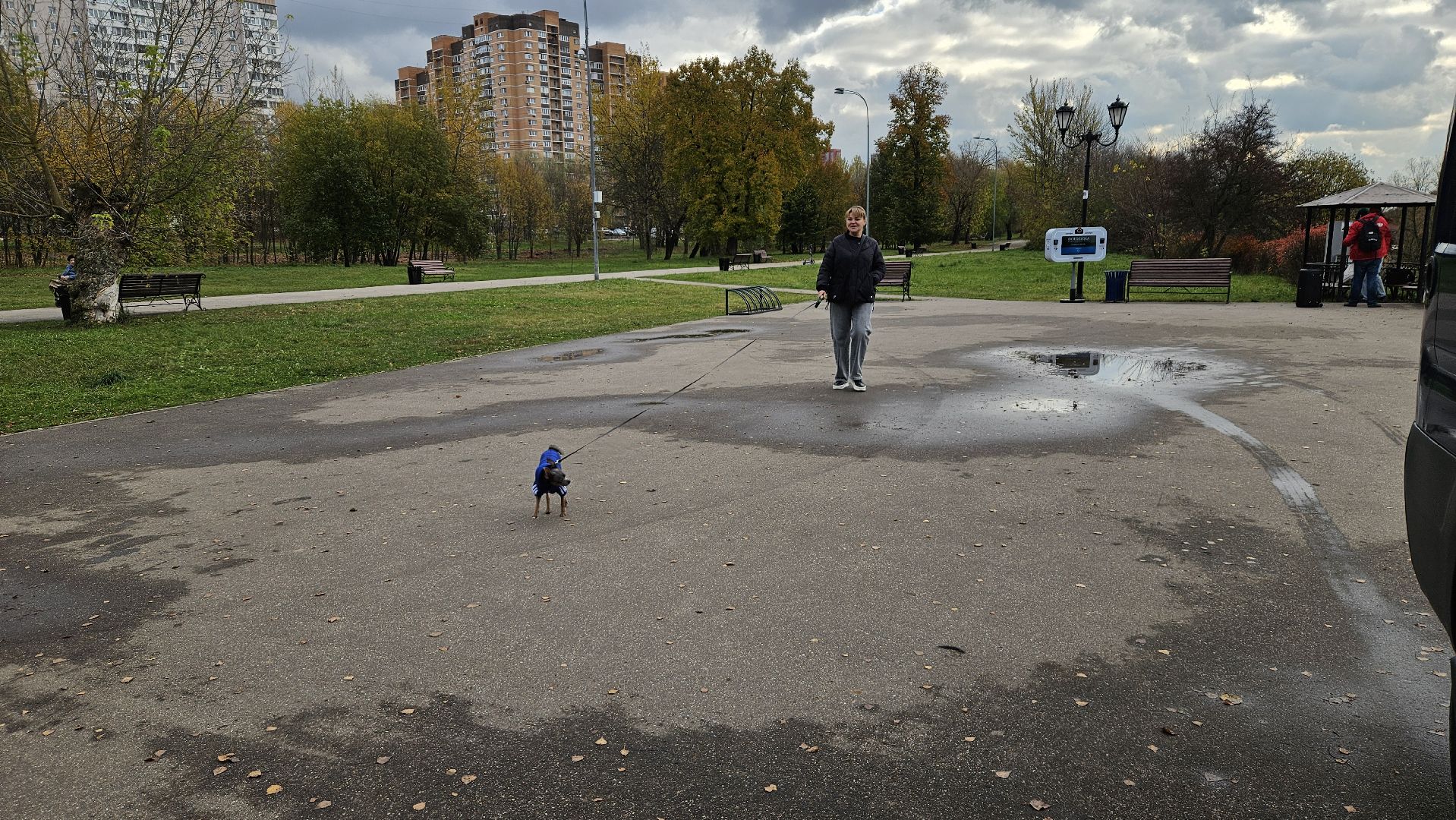 долгопрудный, собаки, чипирование, чипирование домашних животных, чипирование животных, чипирование собак,вакцинация животных, вакцинация от бешенства, вакцинация животных от бешенства,