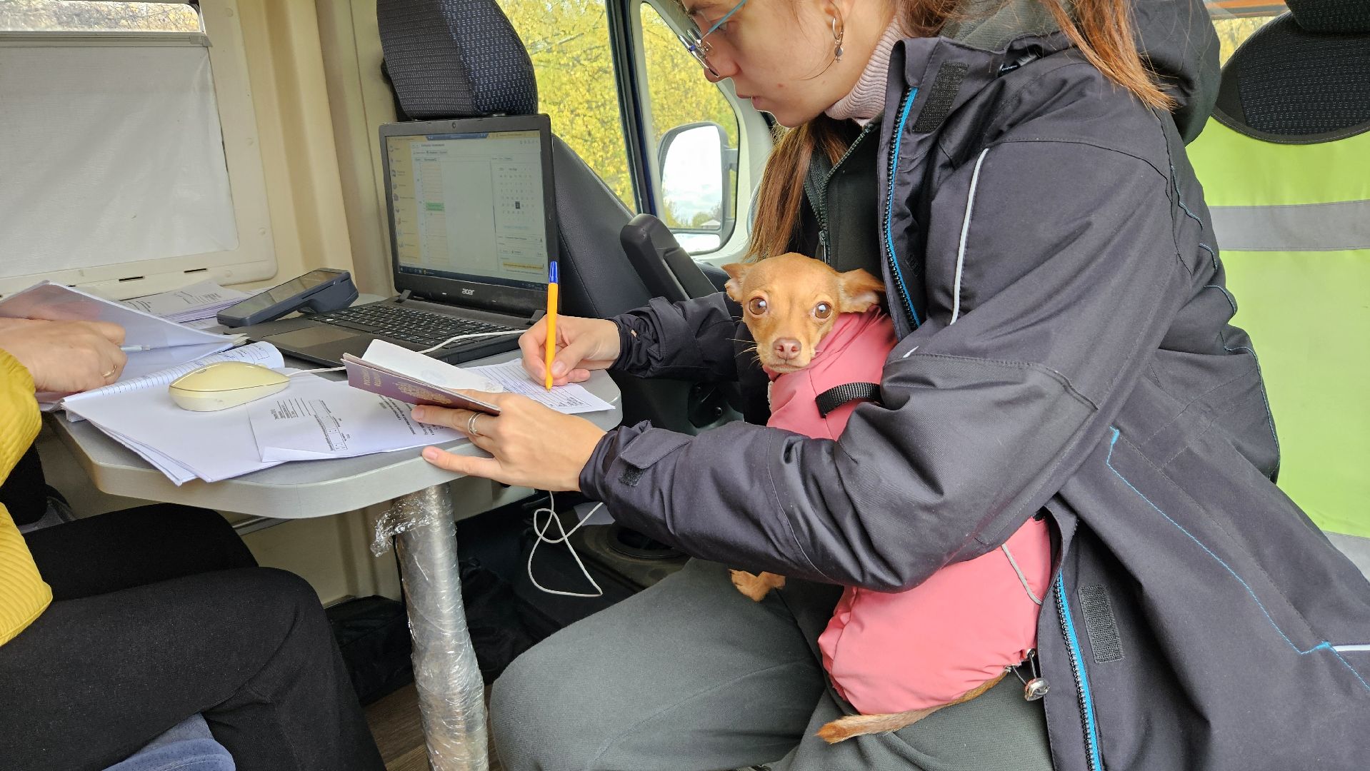 долгопрудный, собаки, чипирование, чипирование домашних животных, чипирование животных, чипирование собак,вакцинация животных, вакцинация от бешенства, вакцинация животных от бешенства,