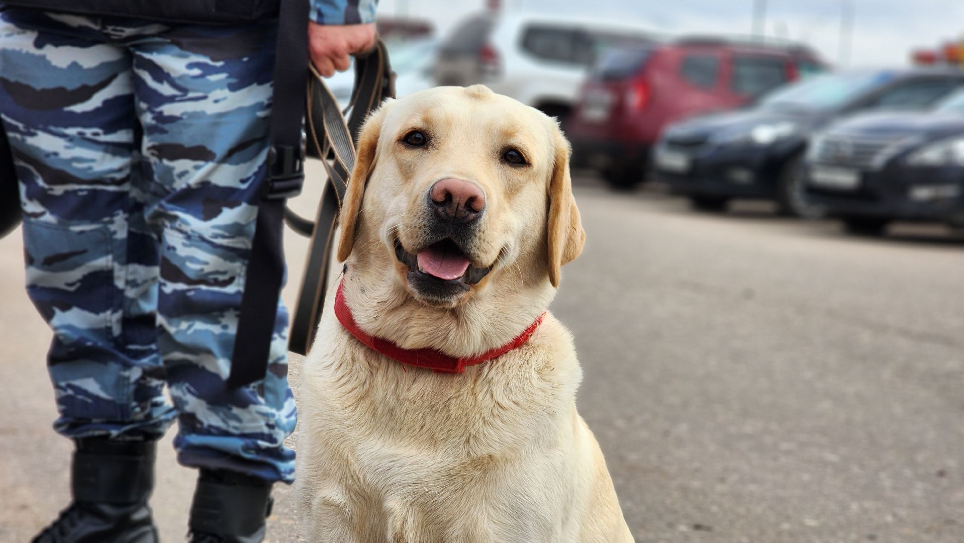 Руза, Безопасность, Учения бпла, Мособлпожспас, Мособлтепло,