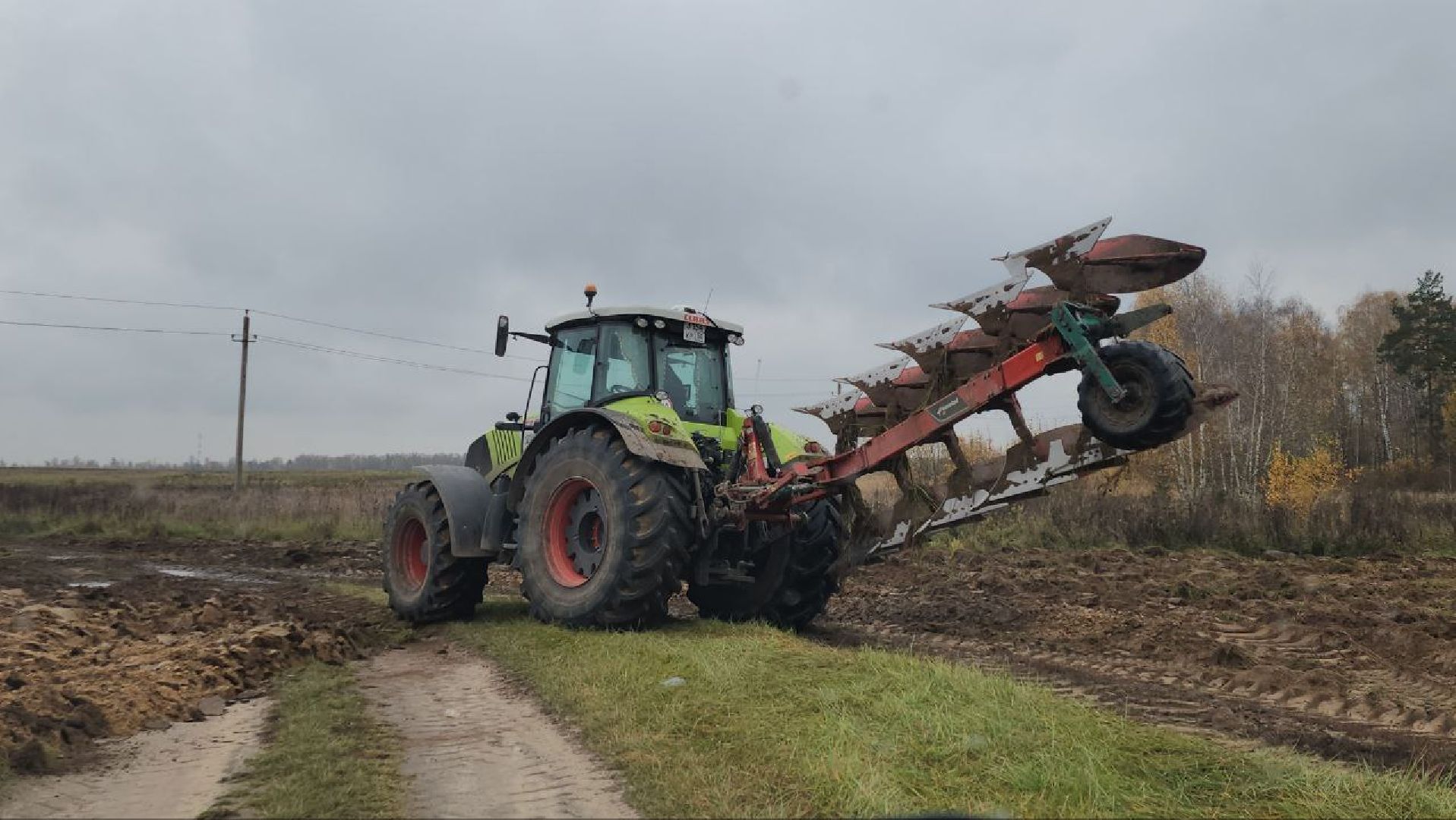 луховицы, сельскоехозяйсвто,
