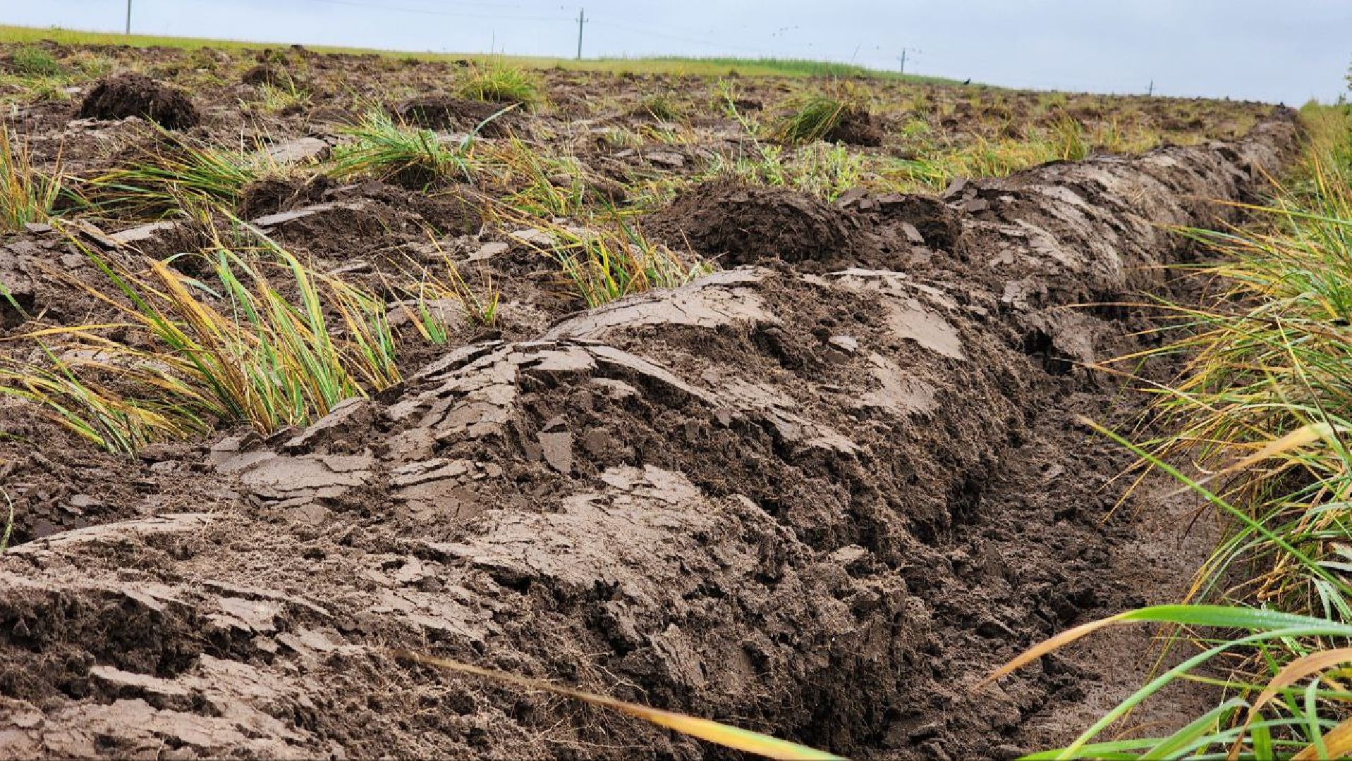 луховицы, сельскоехозяйсвто,