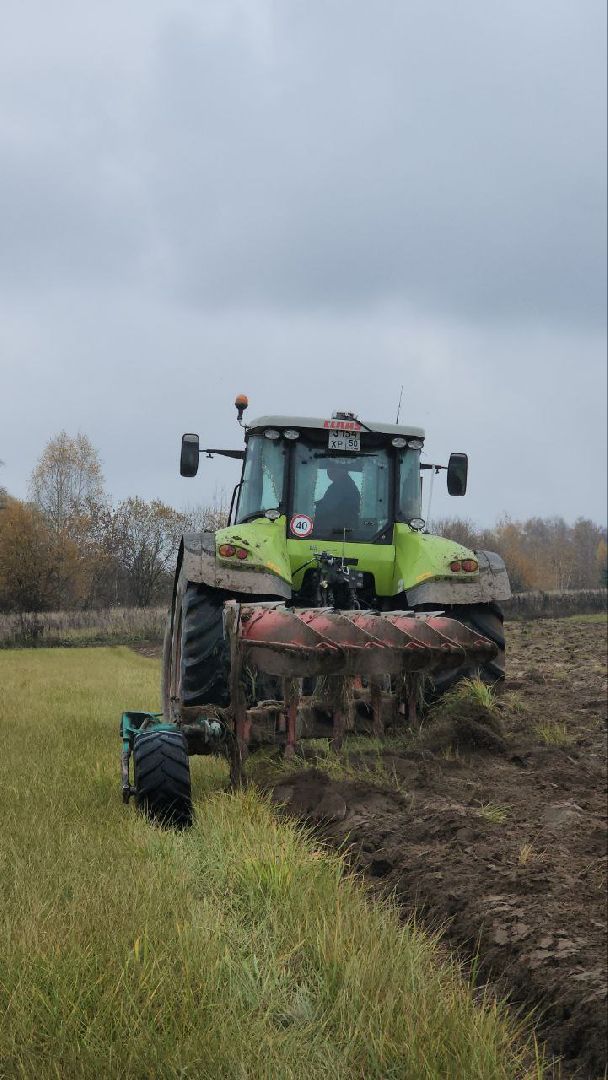 луховицы, сельскоехозяйсвто,