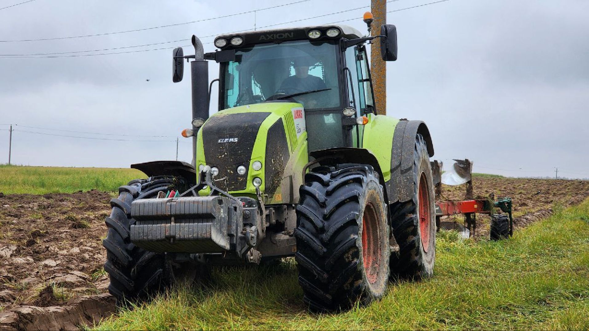 луховицы, сельскоехозяйсвто,