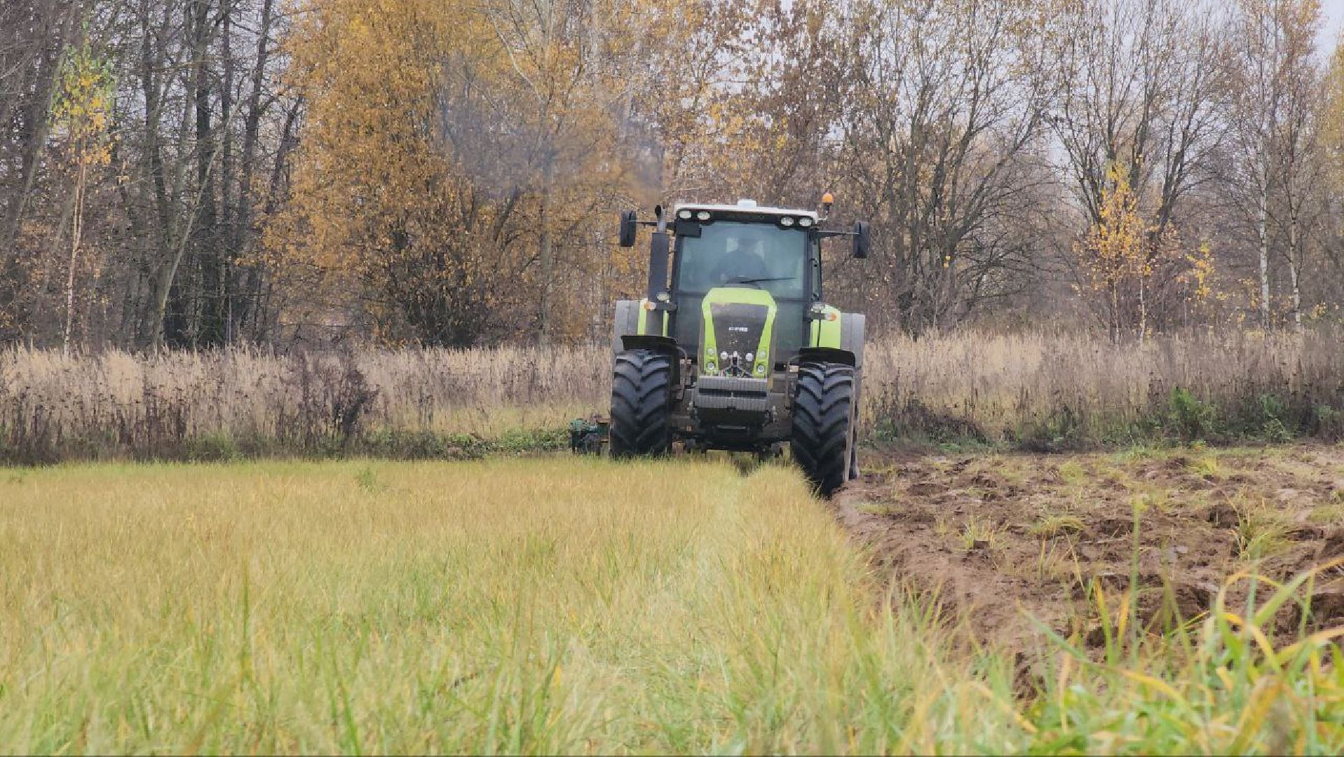 луховицы, сельскоехозяйсвто,