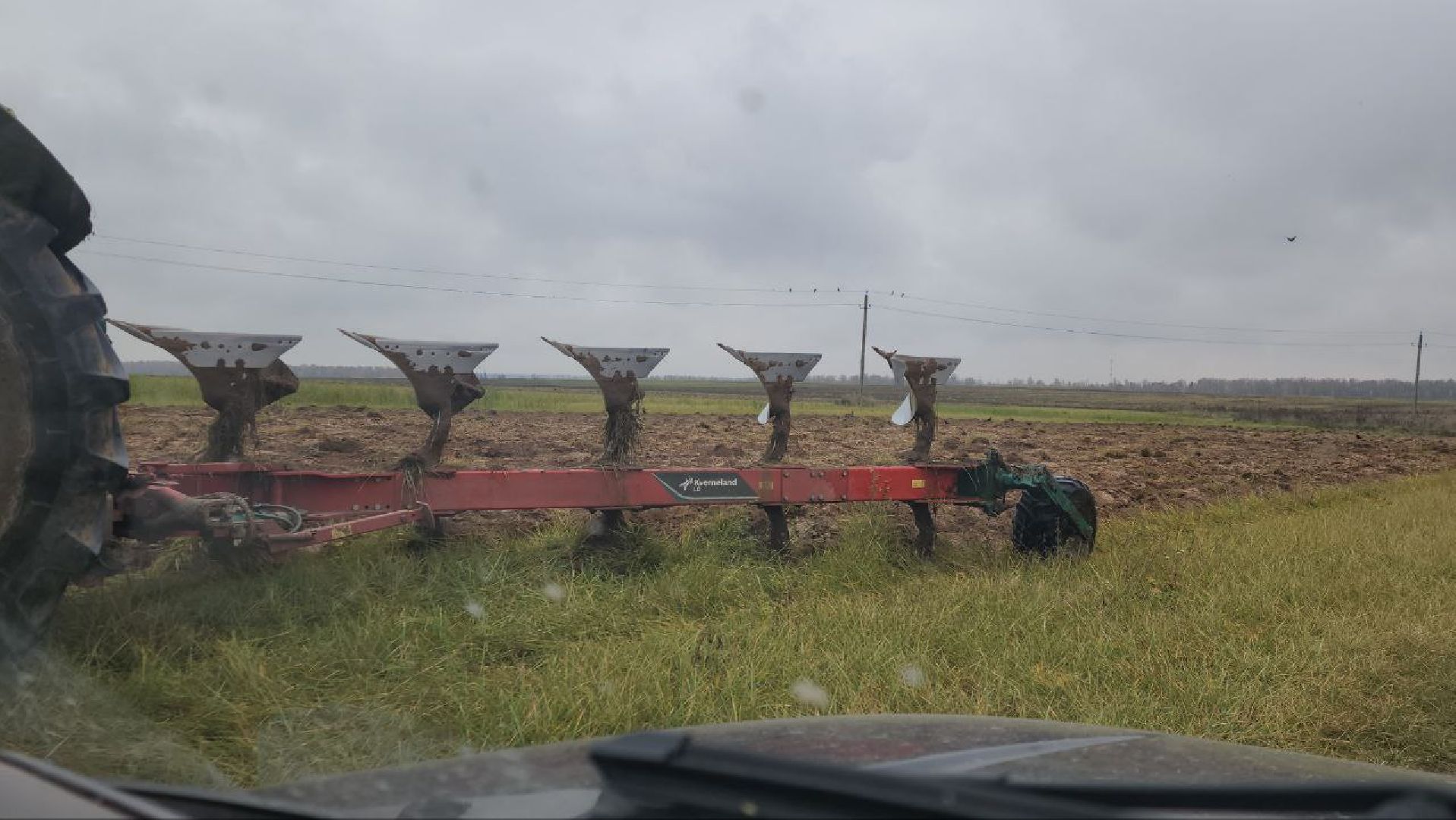 луховицы, сельскоехозяйсвто,