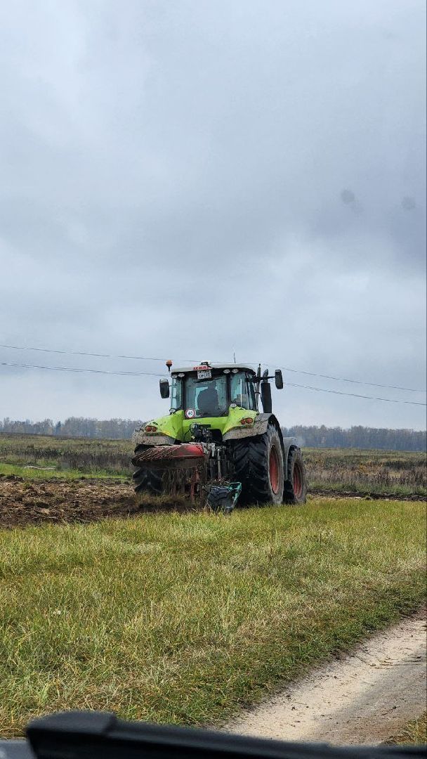 луховицы, сельскоехозяйсвто,