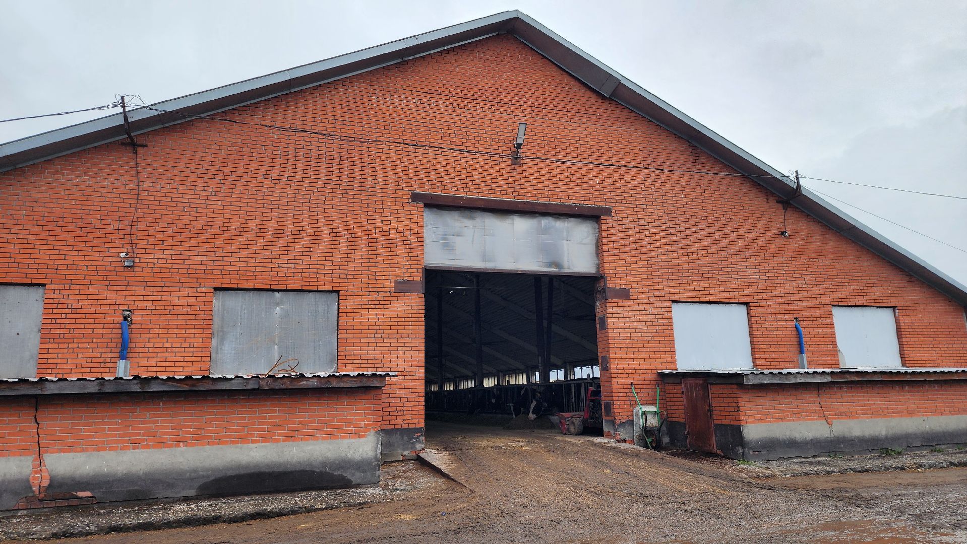 луховицы, племзавод пойма, сельское хозяйство,