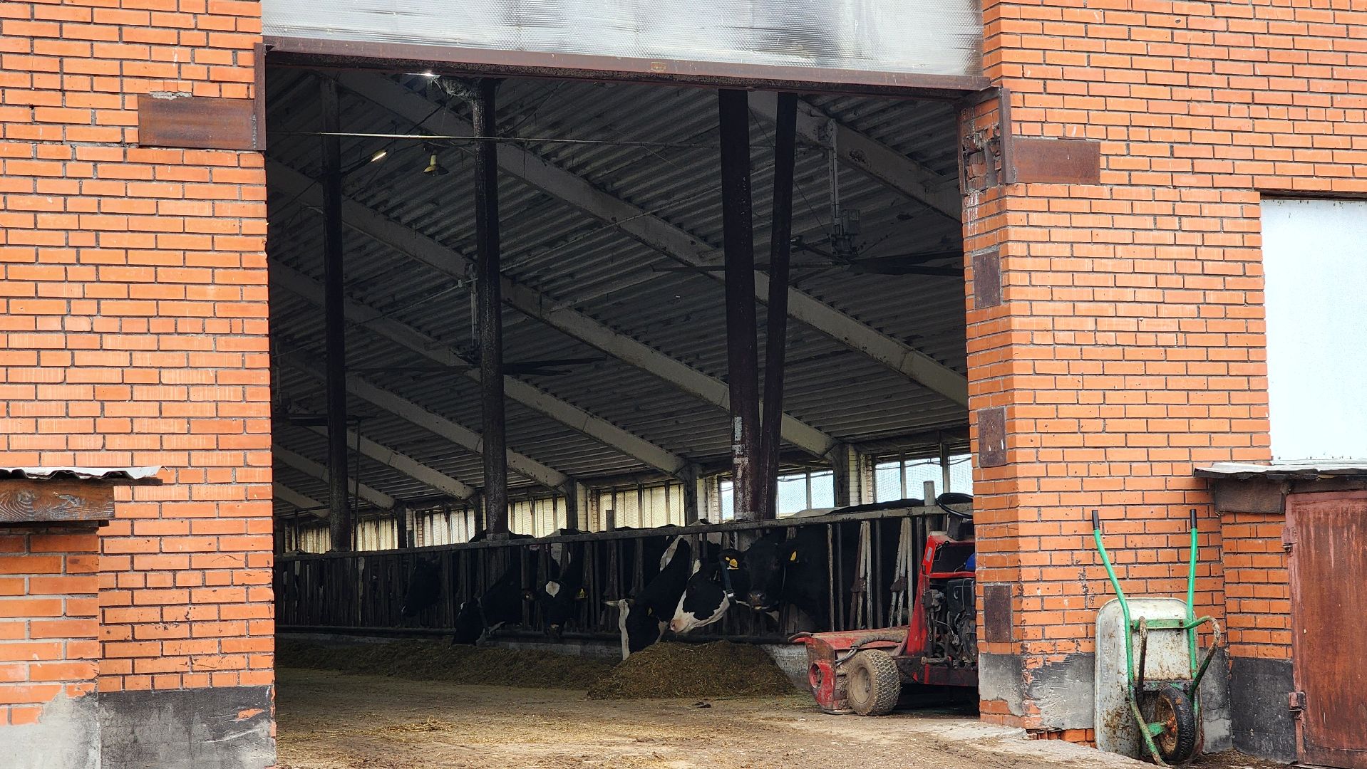 луховицы, племзавод пойма, сельское хозяйство,