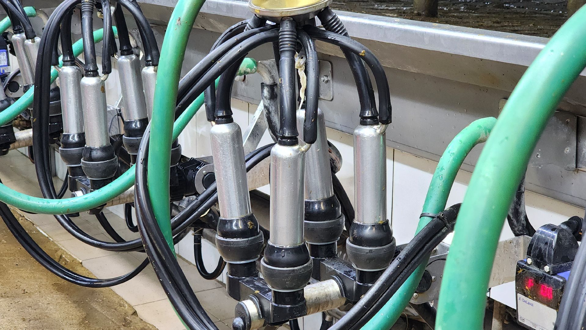 луховицы, племзавод пойма, сельское хозяйство,