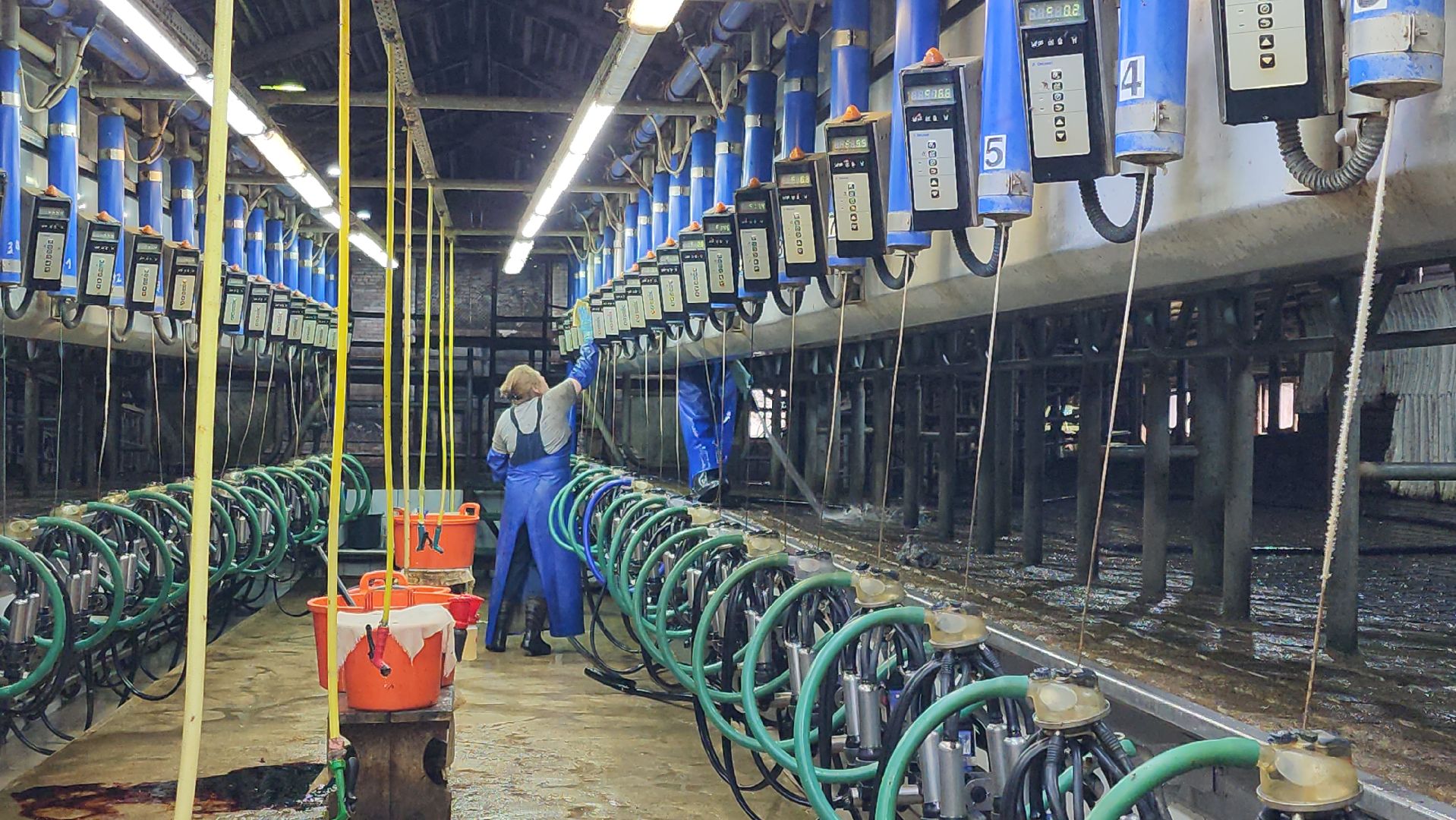 луховицы, племзавод пойма, сельское хозяйство,