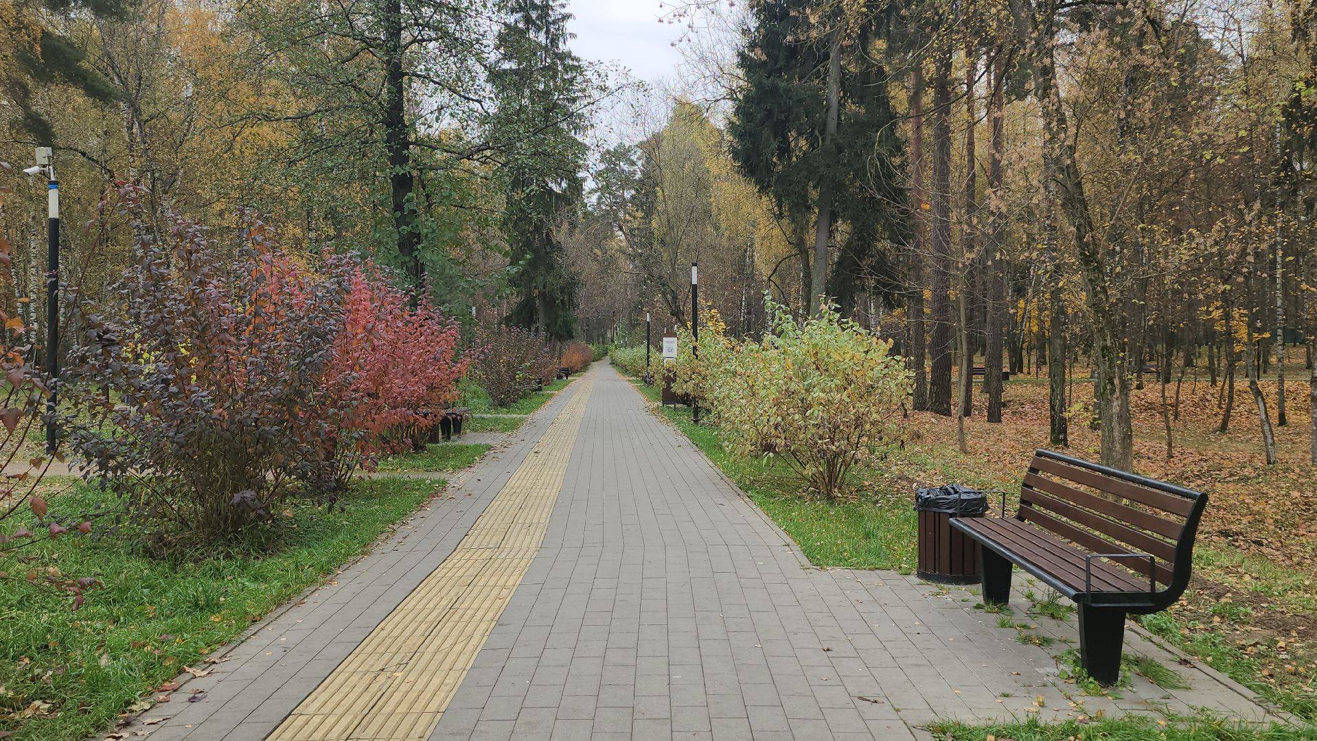 люберцы, выездная администрация, малаховка, глава люберец владимир волков,малаховское озеро,