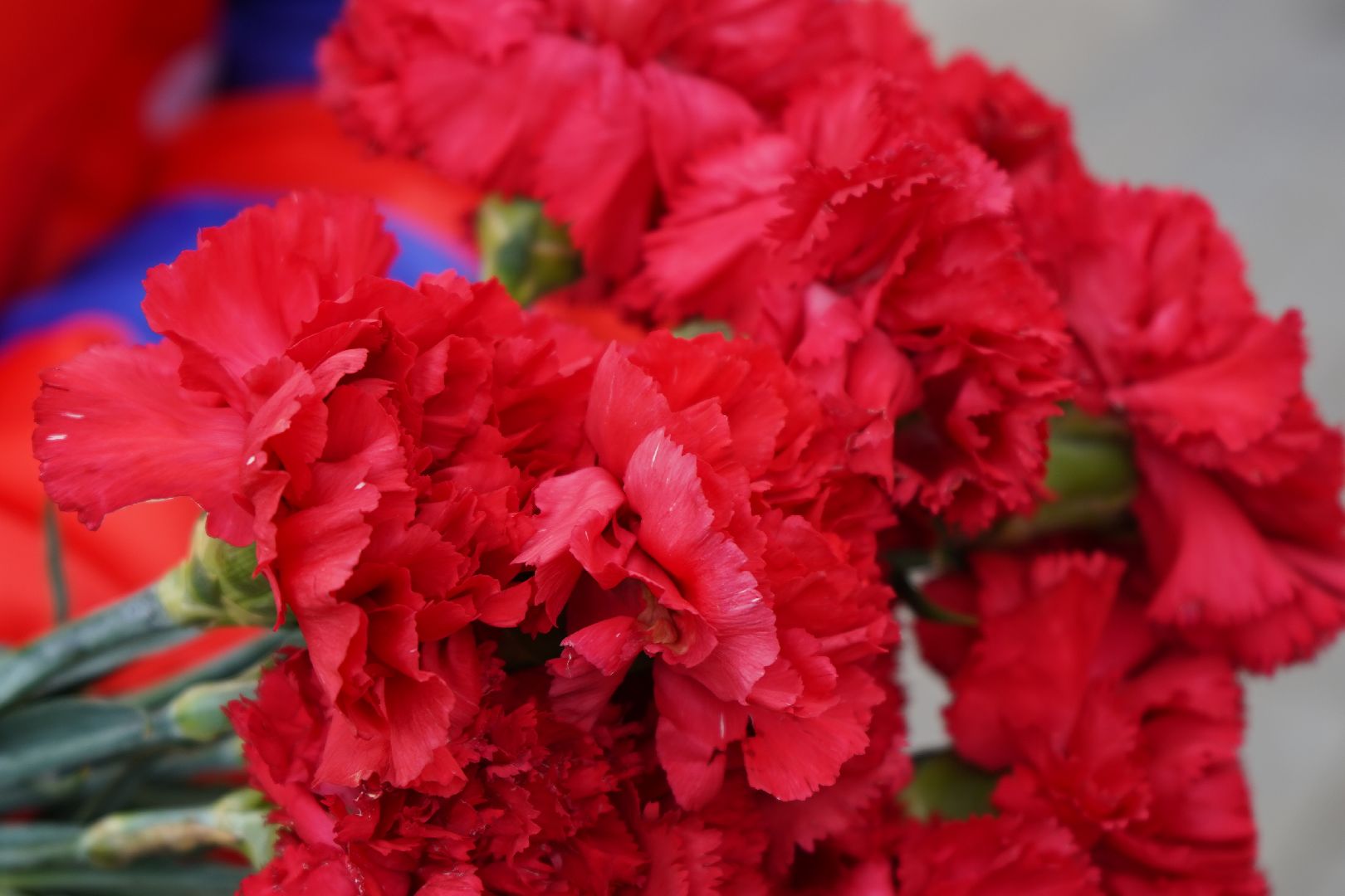 ступино, красноармеец, сквер Полякова, вахта памяти,