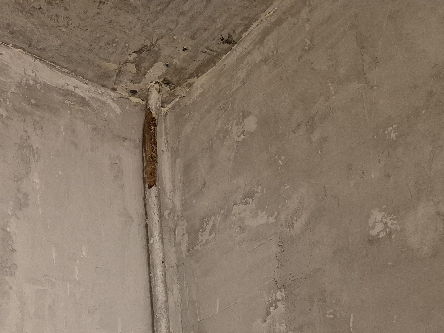 выездная администрация , жкх, деревня давыдово,