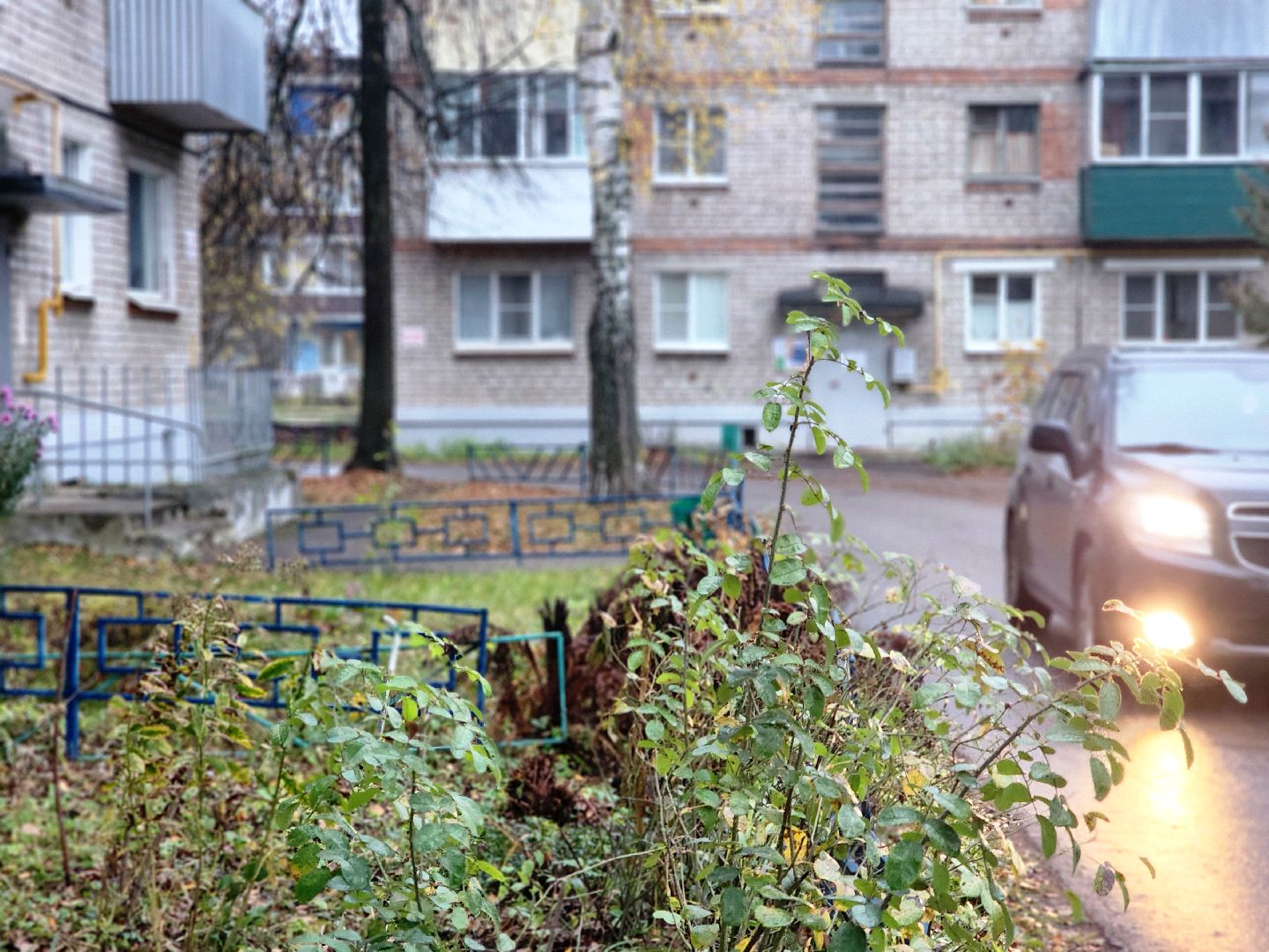 дубна, выездная администрация, благоустройство,
