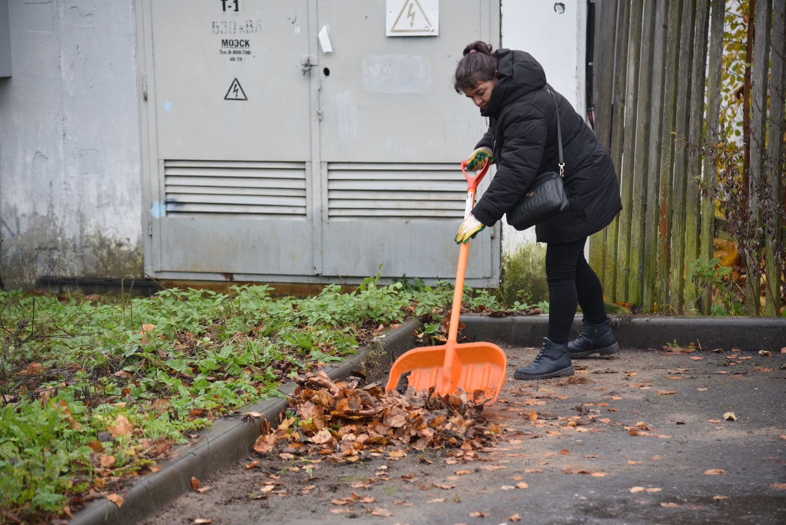 лотошино, добродел, благоустройство, обращения жителей,