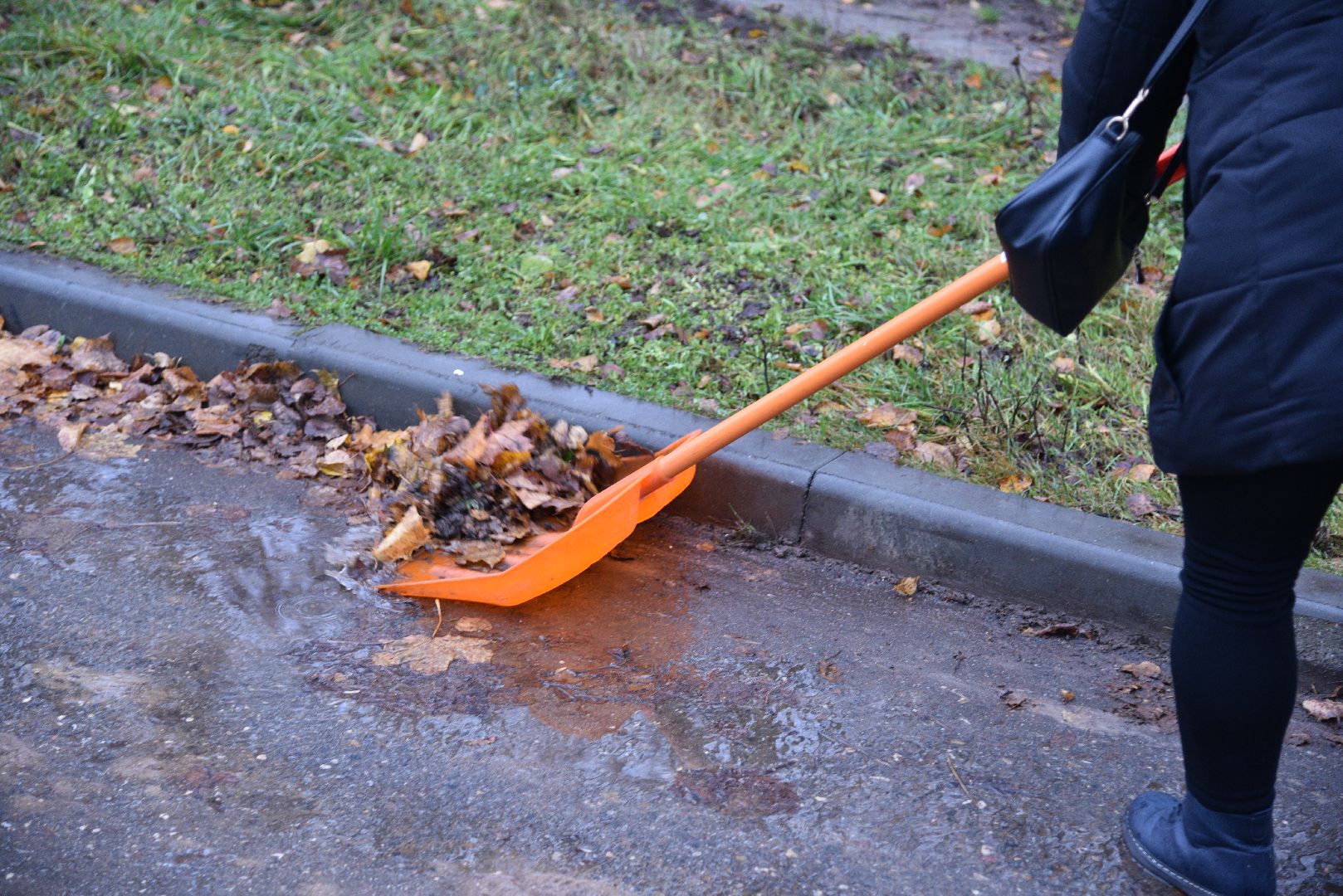 лотошино, добродел, благоустройство, обращения жителей,