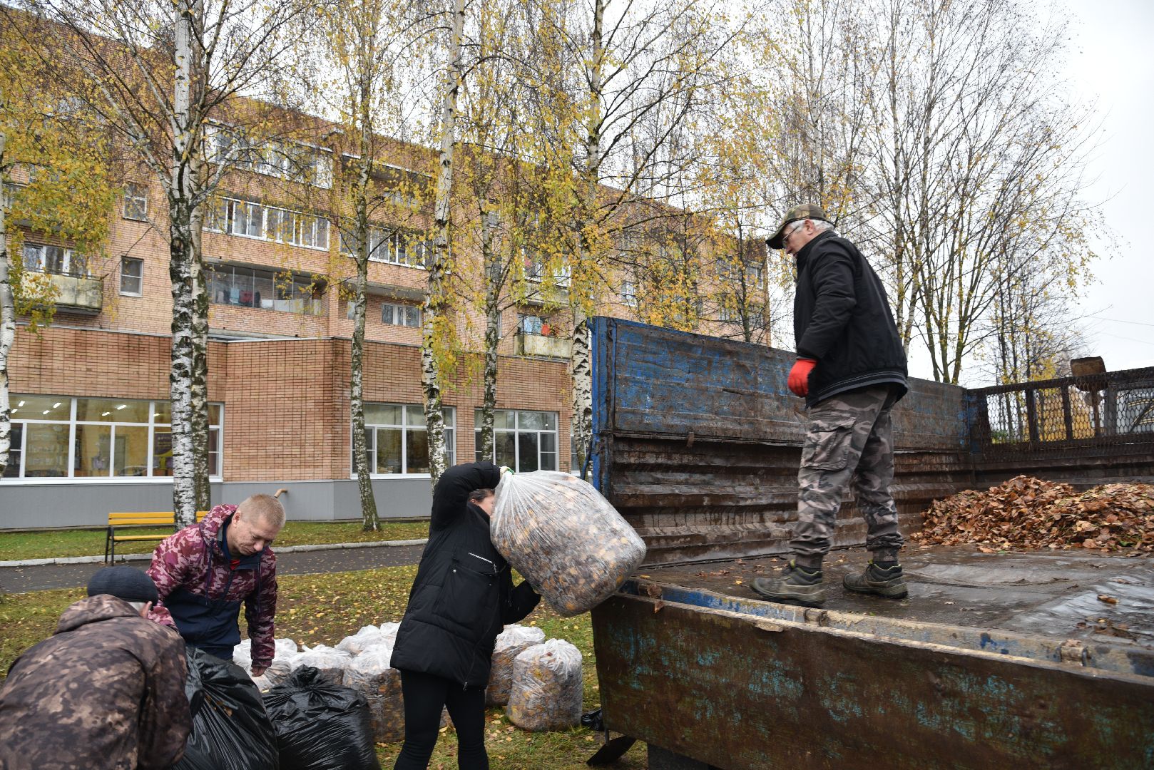лотошино, добродел, благоустройство, обращения жителей,