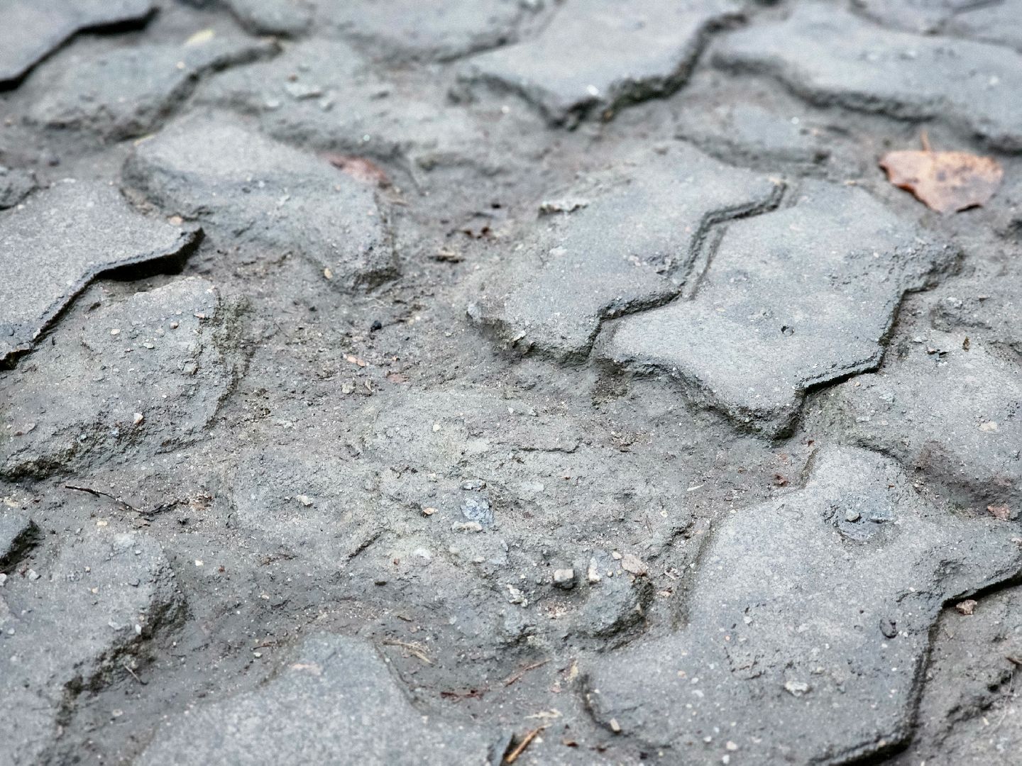 дубна, выездная администрация, благоустройство, тротуары,