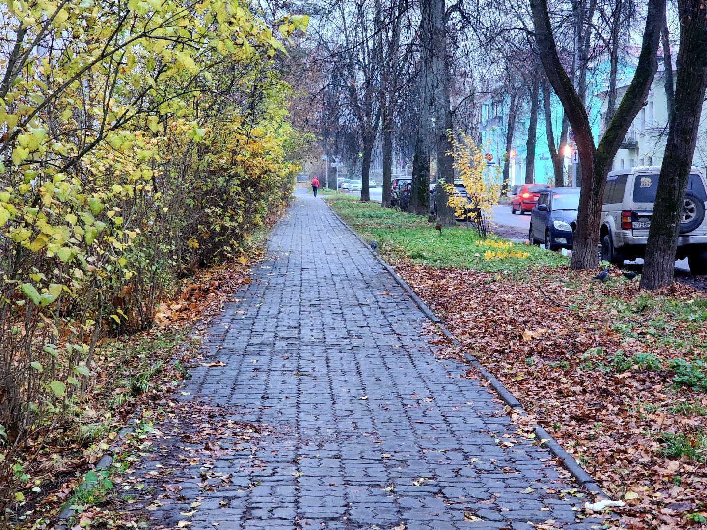 дубна, выездная администрация, благоустройство, тротуары,