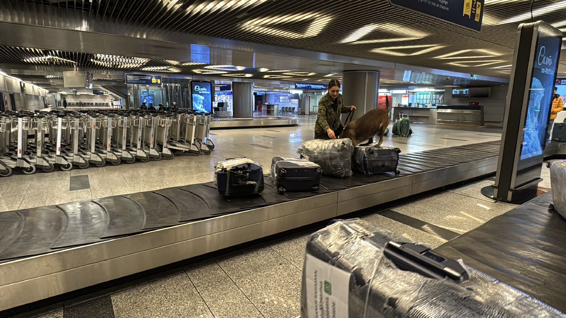 Кинологи аэропорта Внуково, Таможня на замке, Таможенный контроль,