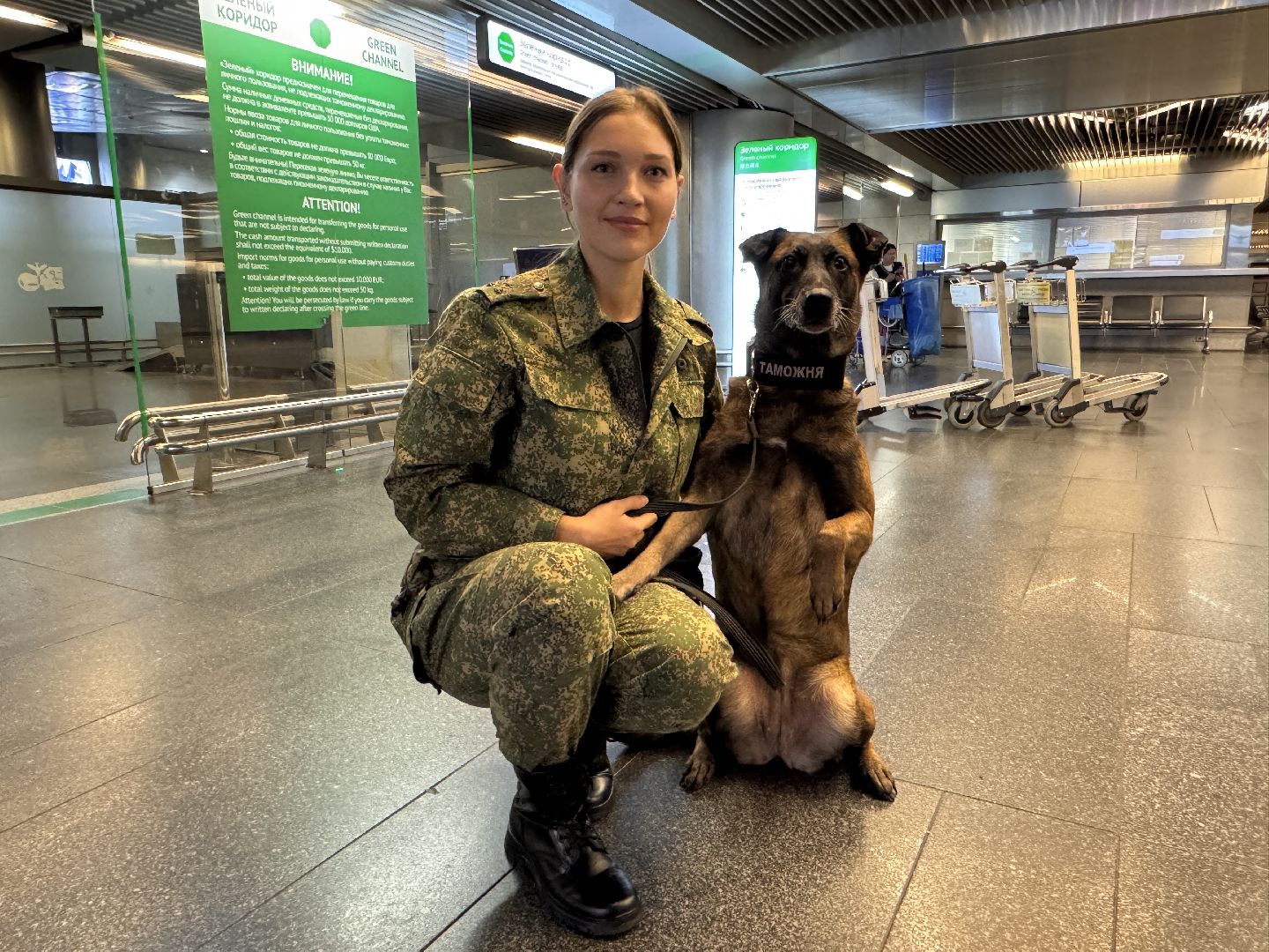Кинологи аэропорта Внуково, Таможня на замке, Таможенный контроль,