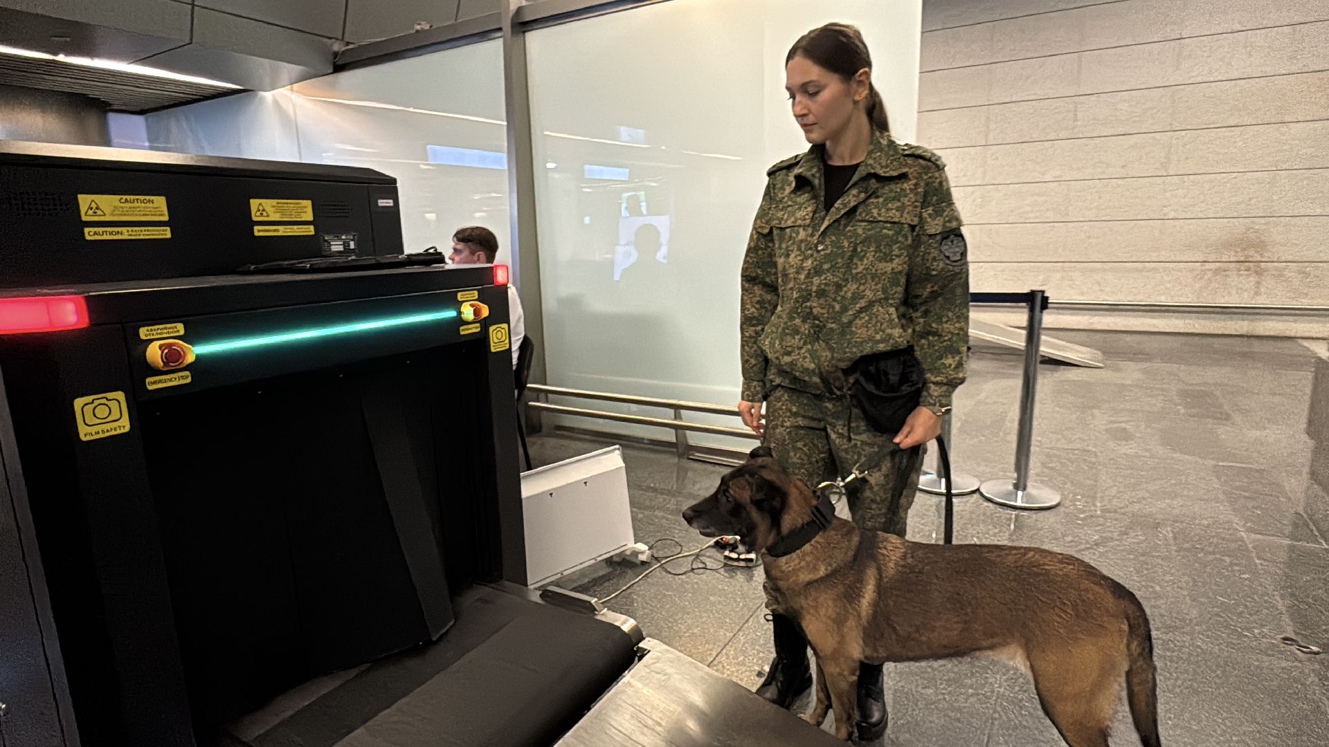 Кинологи аэропорта Внуково, Таможня на замке, Таможенный контроль,