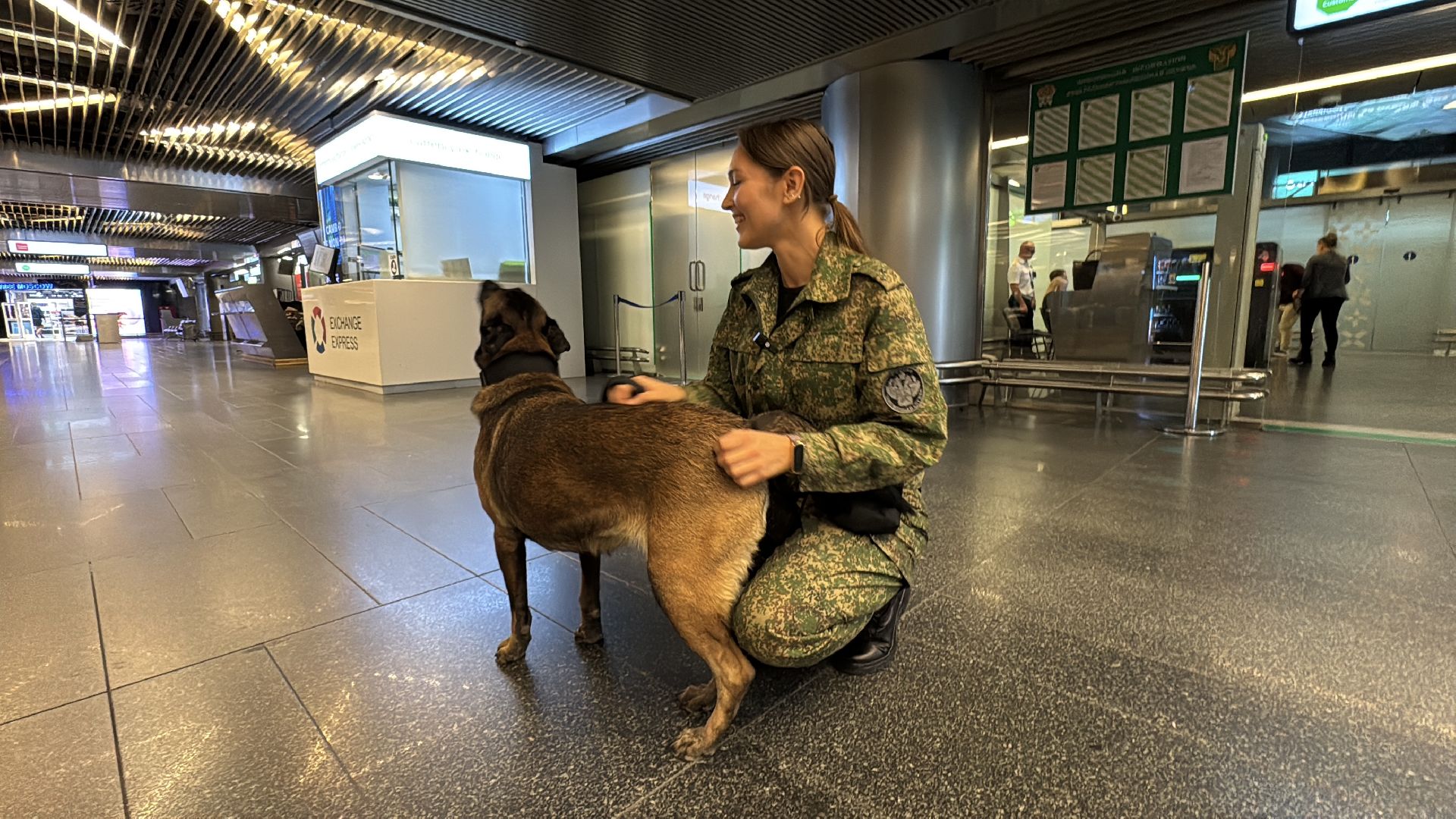 Кинологи аэропорта Внуково, Таможня на замке, Таможенный контроль,