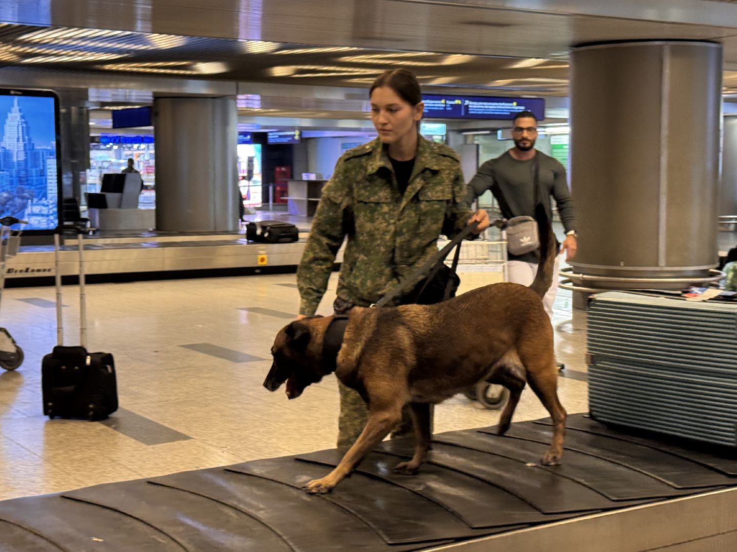 Кинологи аэропорта Внуково, Таможня на замке, Таможенный контроль,